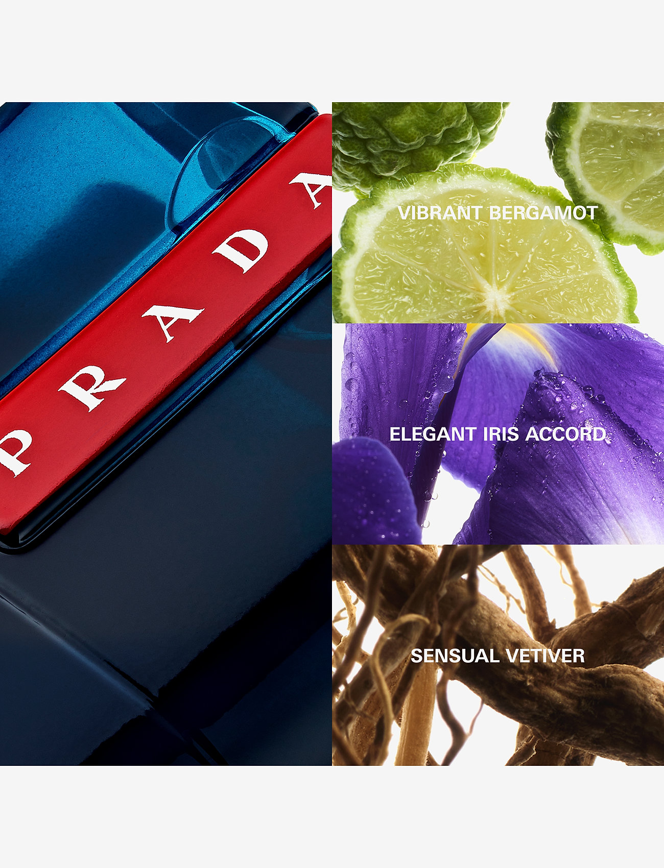 Prada - Prada Luna Rossa Ocean Eau de Toilette 50ml - til ham  - clear - 3