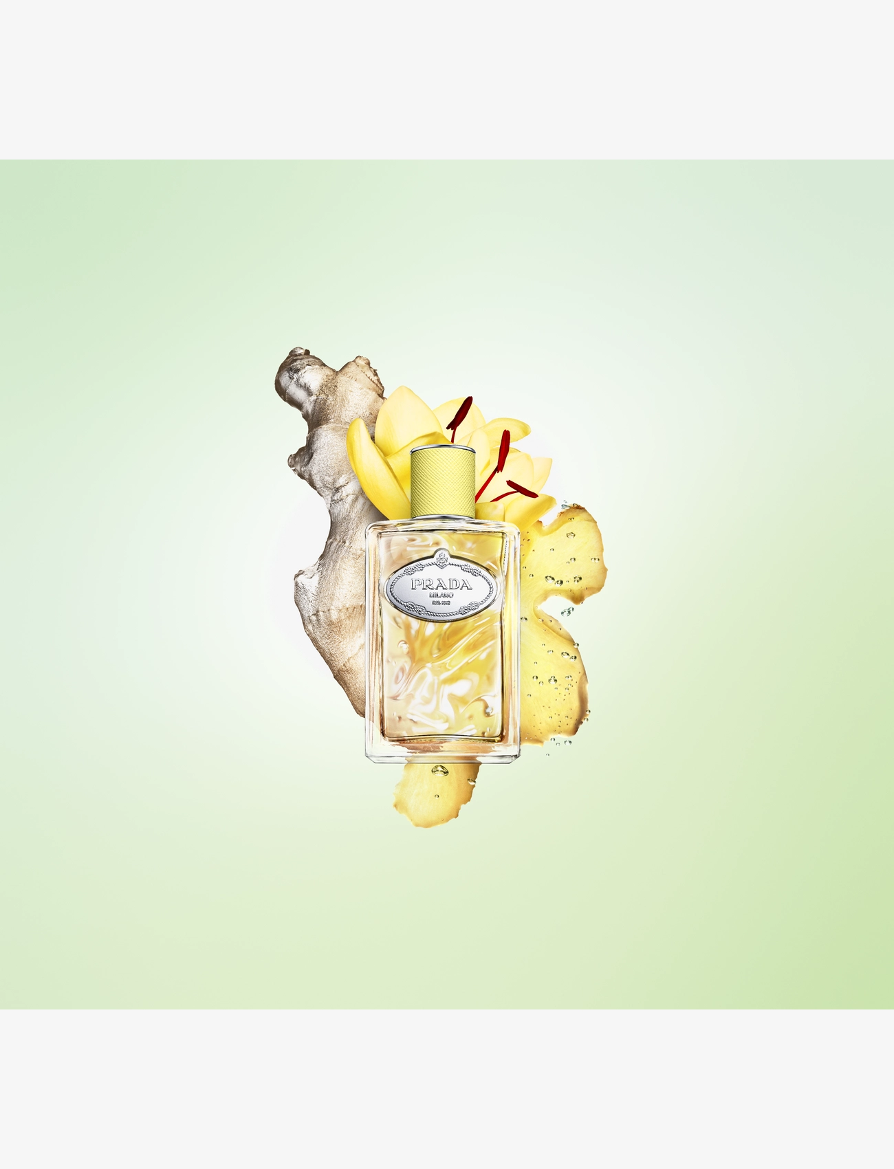 Prada Infusion De Gingembre Eau De Parfum dam – bild 4