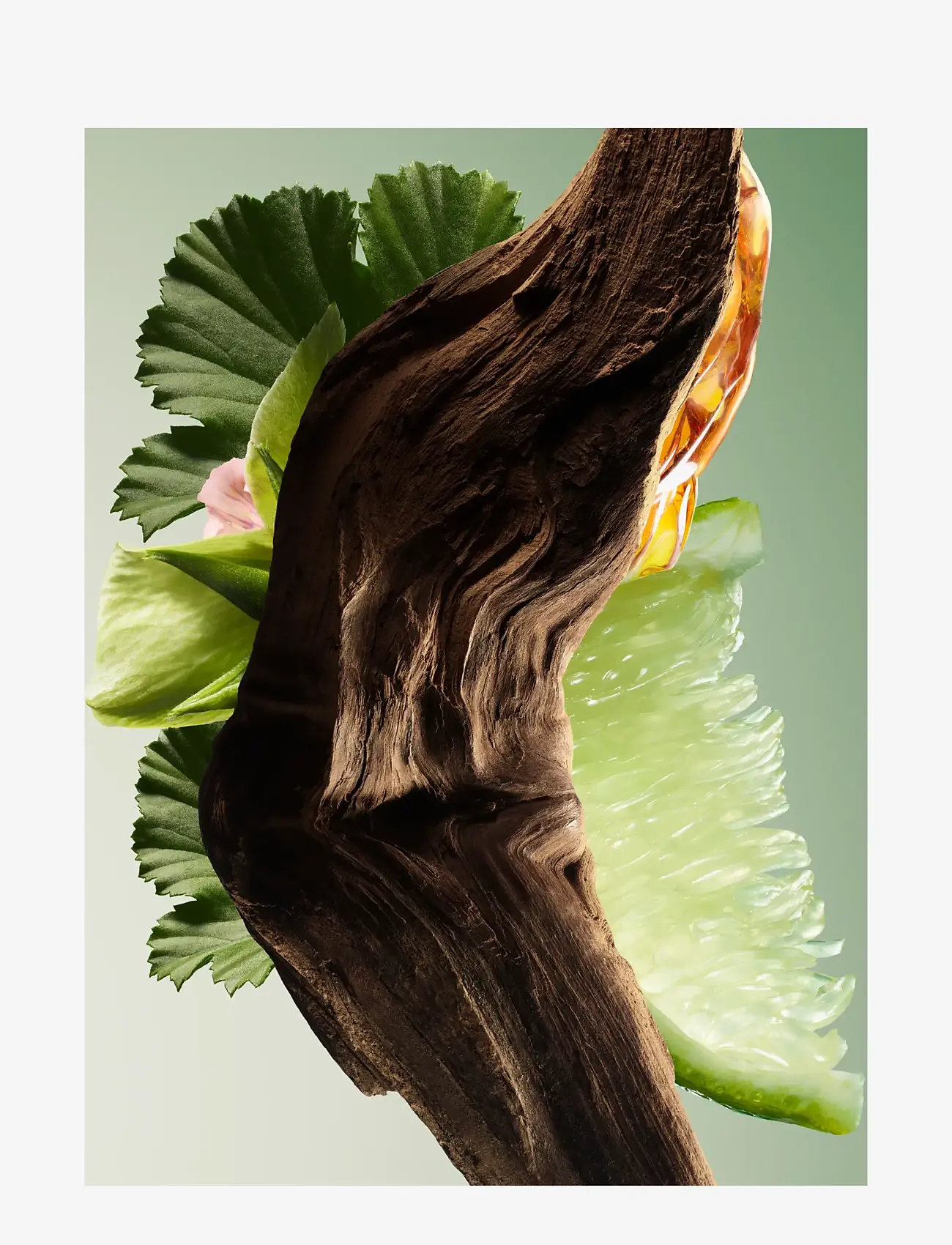 Prada - Prada Paradigme Eau de Parfum 100ml - til ham  - clear - 2