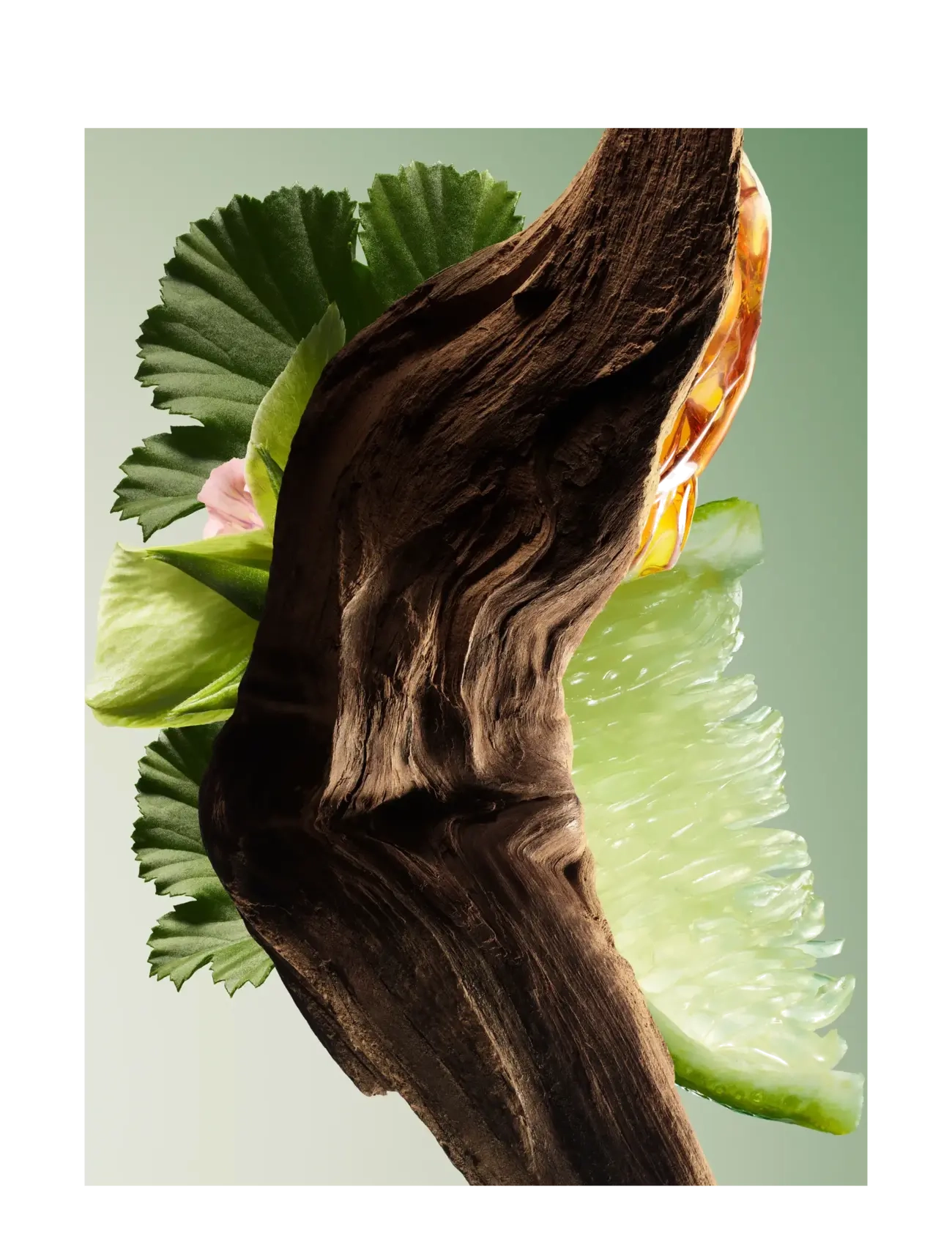 Paradigme Eau de Parfum 5