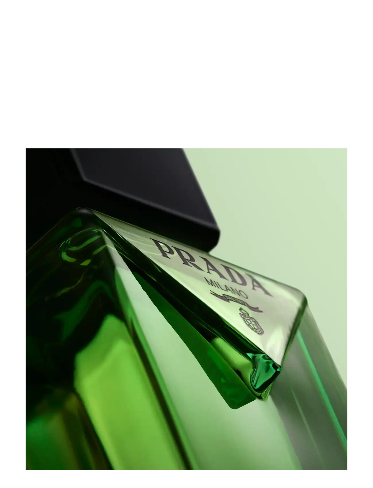 Paradigme Eau de Parfum 7