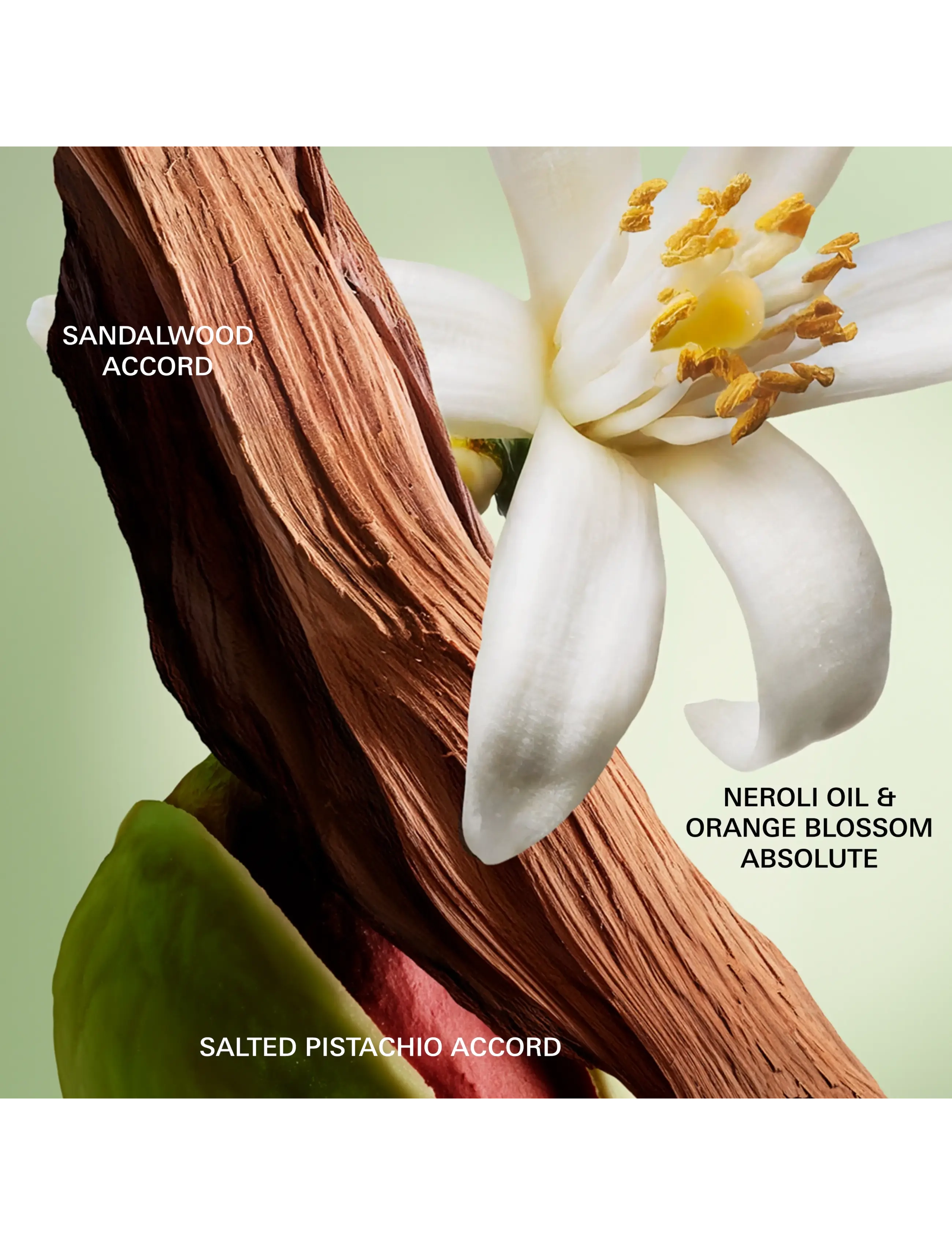 Paradoxe Radical Essence Parfum Påfyllningsbar 5