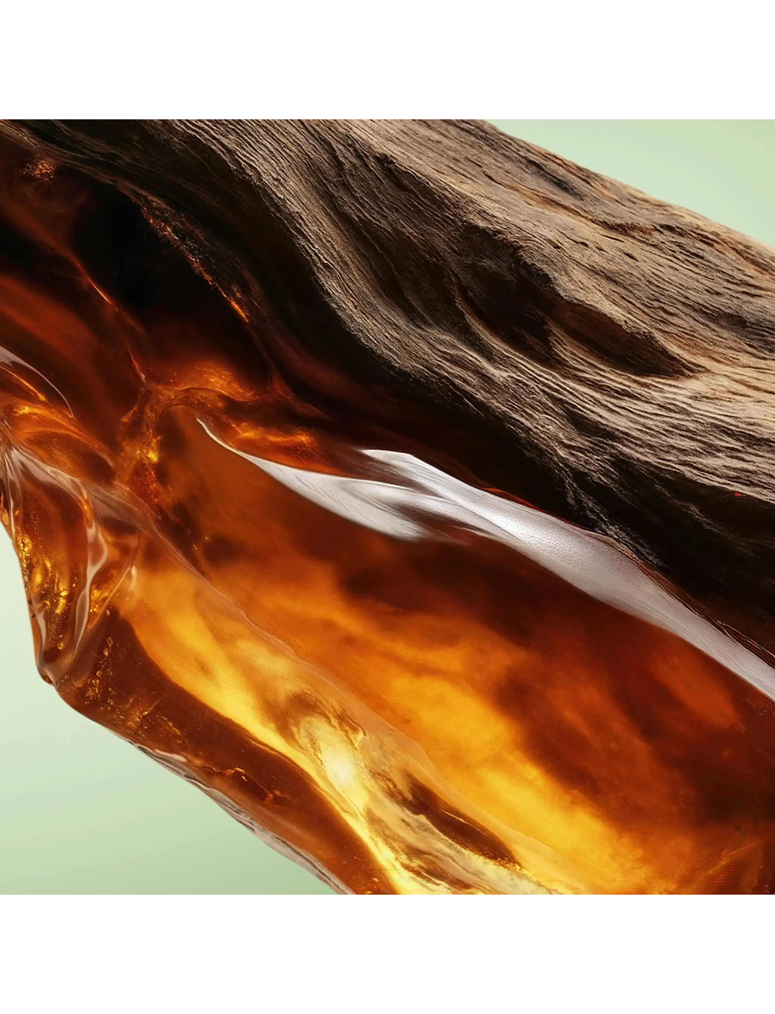 Paradigme Le Parfum 4