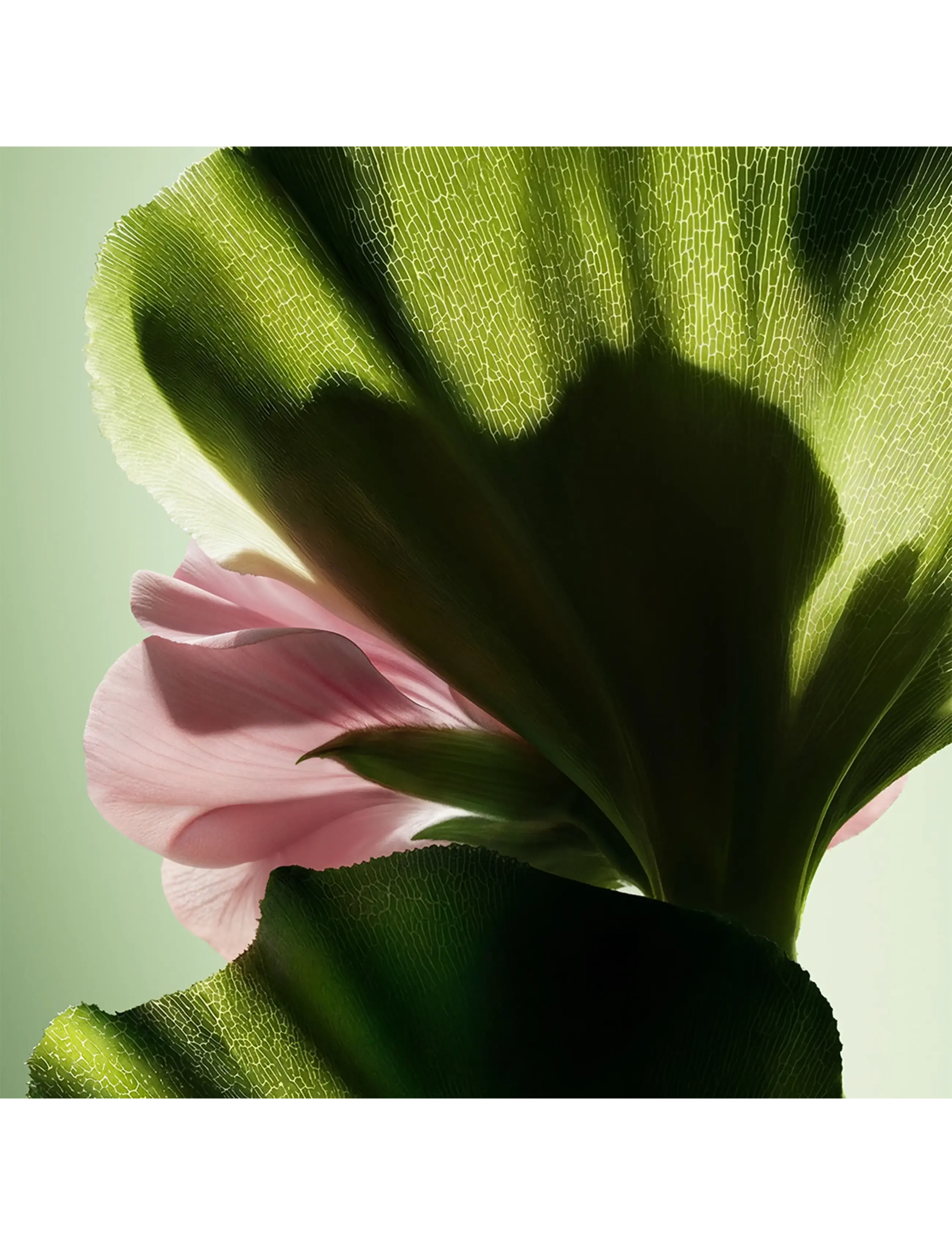 Paradigme Le Parfum 5