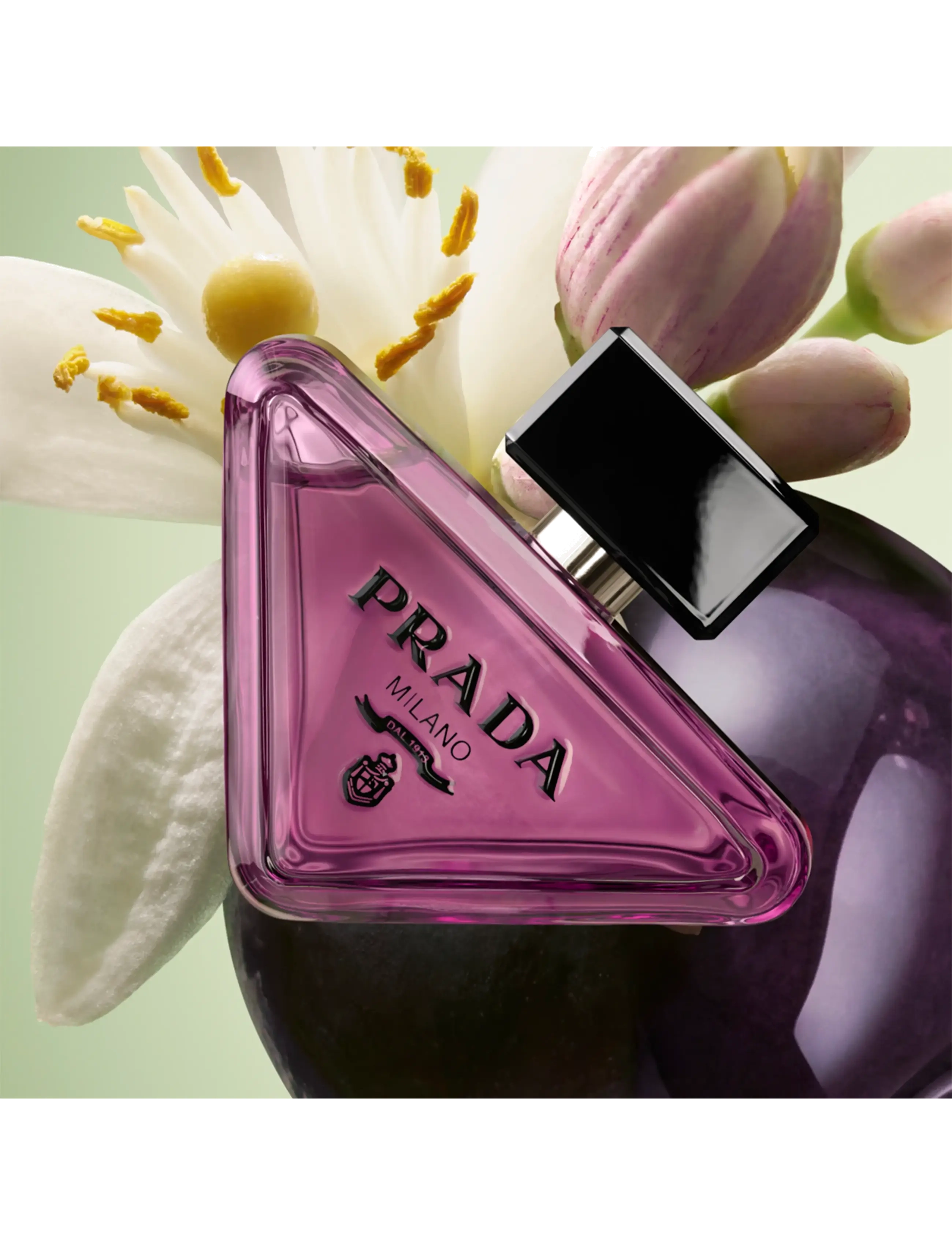 Prada - Prada Paradoxe Sweet Chemistry Eau de Parfum - til hende  - clear - 2