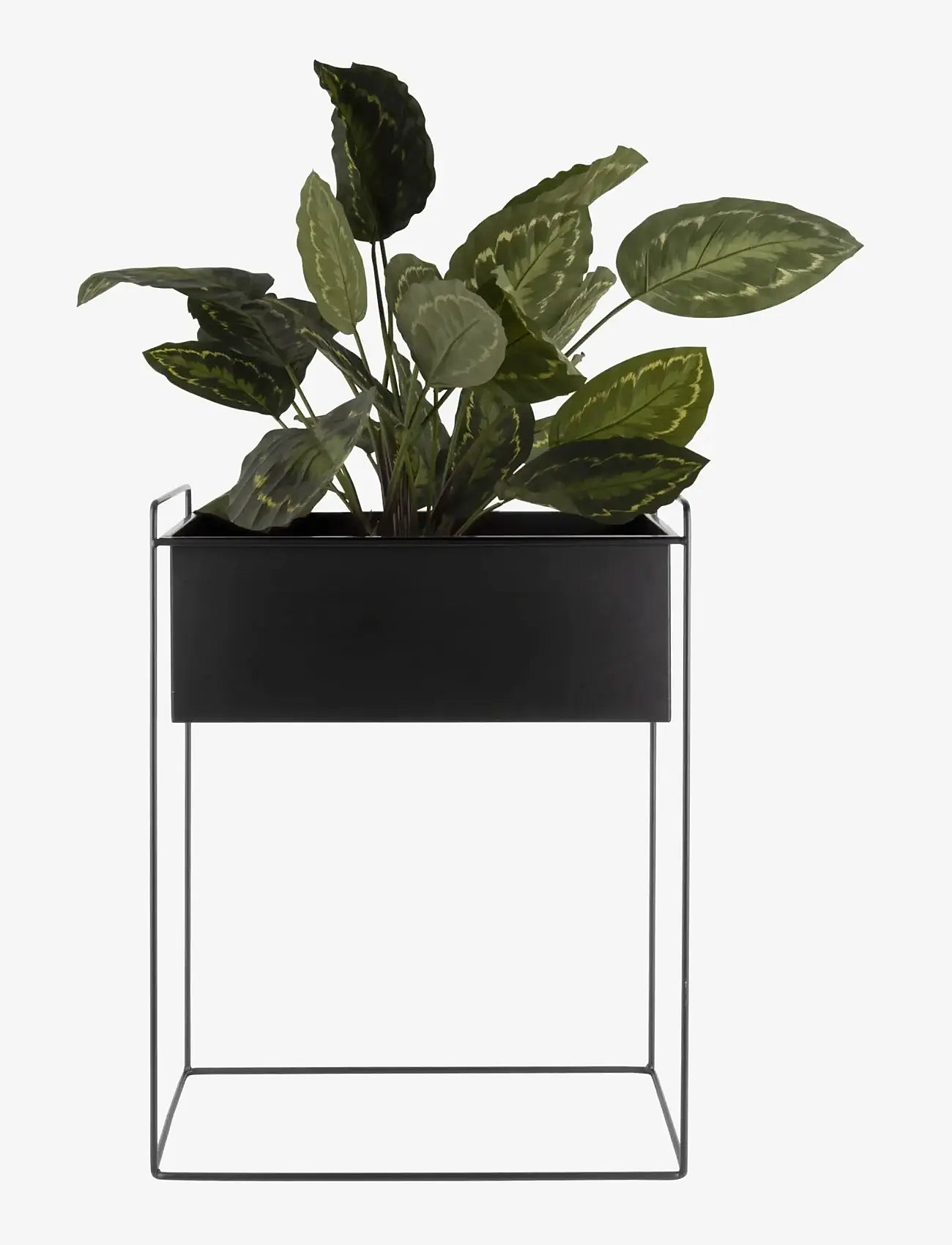 present time - Plant Pot Set Essence Straight - plant pots - black - 2