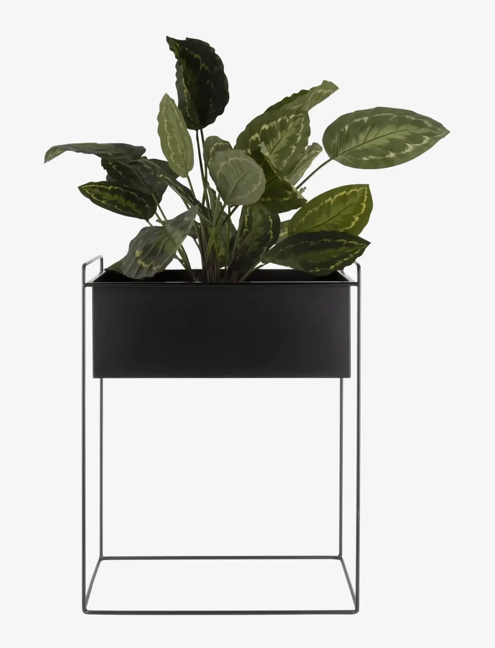 present time - Plant Pot Set Essence Straight - nach preis einkaufen - black - 2