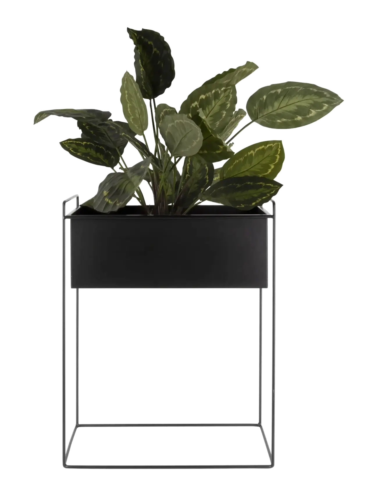 present time - Plant Pot Set Essence Straight - krukor - black - 3