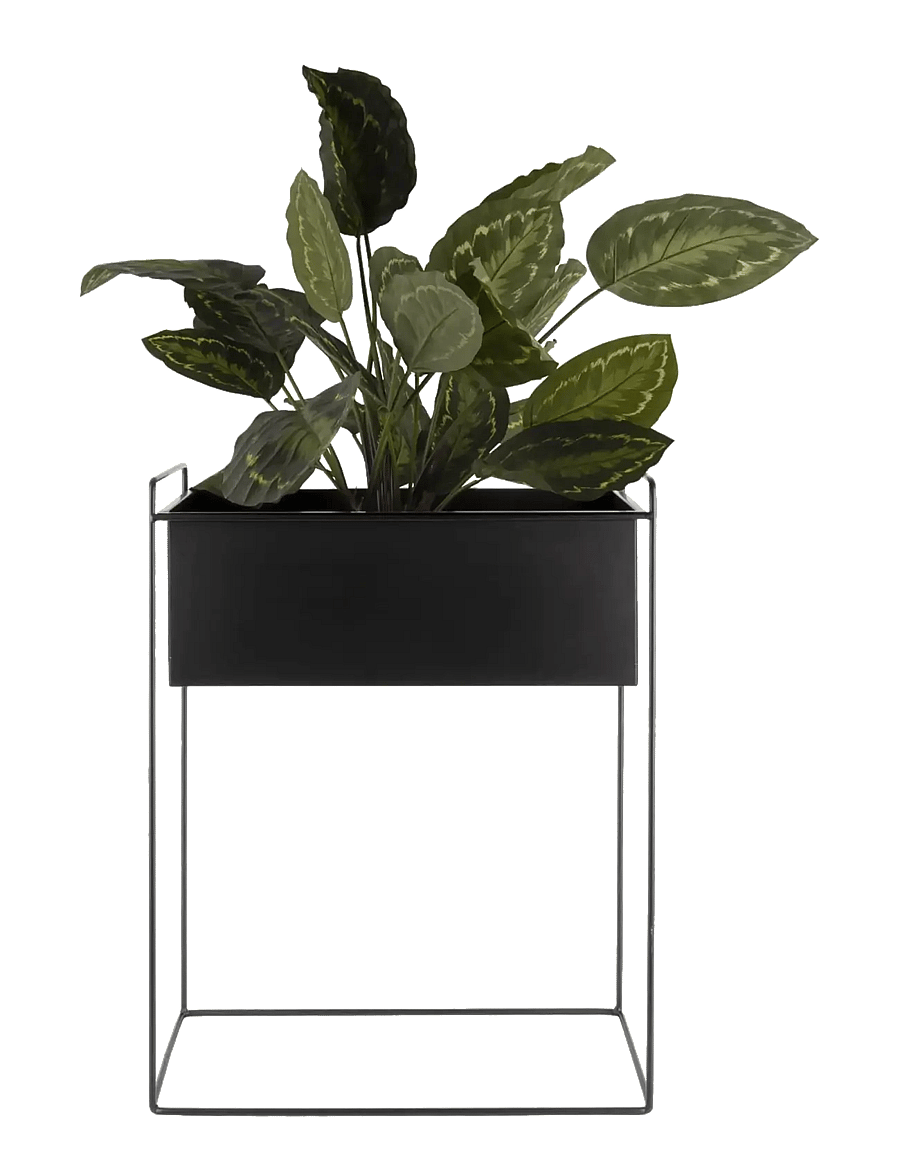 present time - Plant Pot Set Essence Straight - lillepotid - black - 3