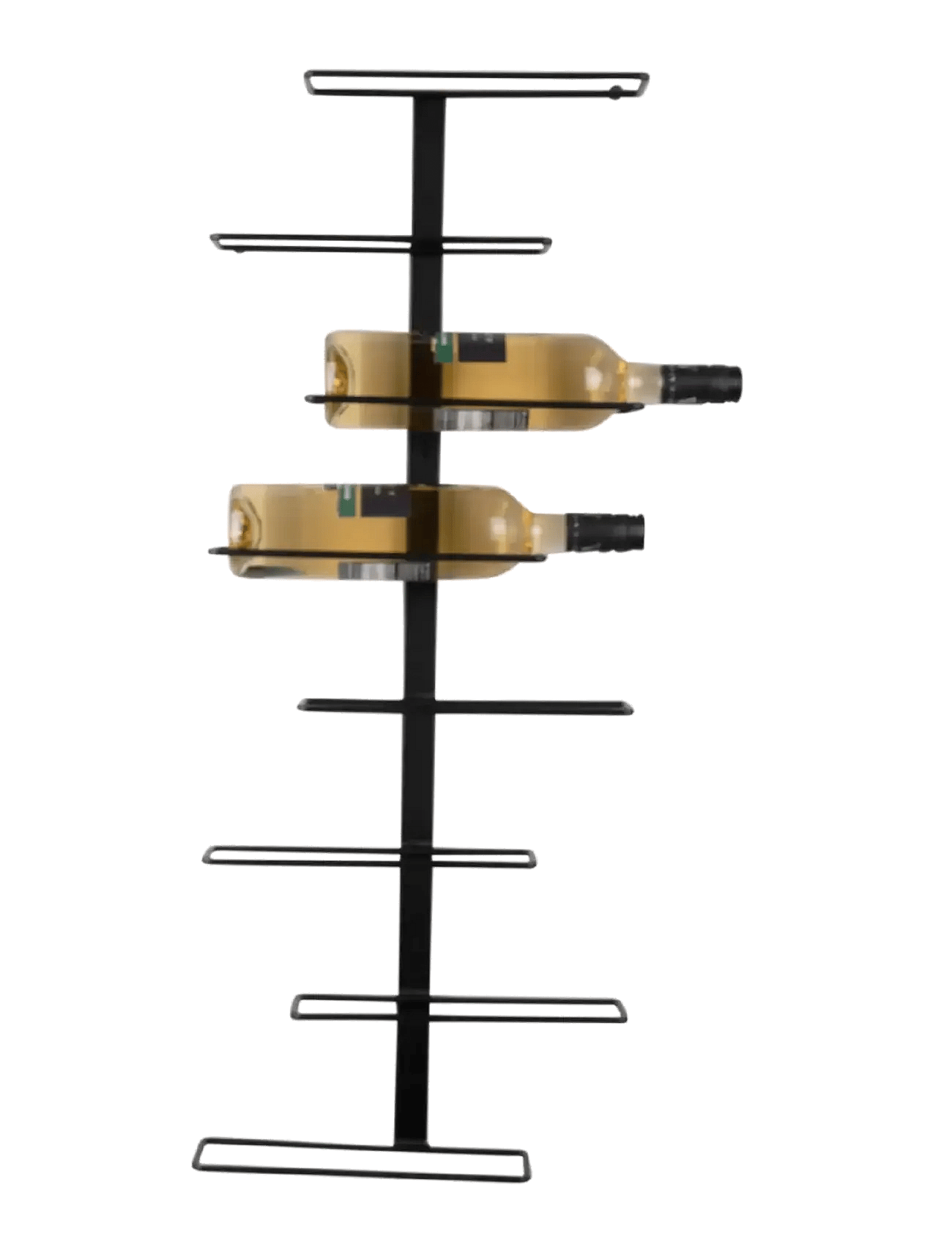 Present Time - Wine Rack Float
