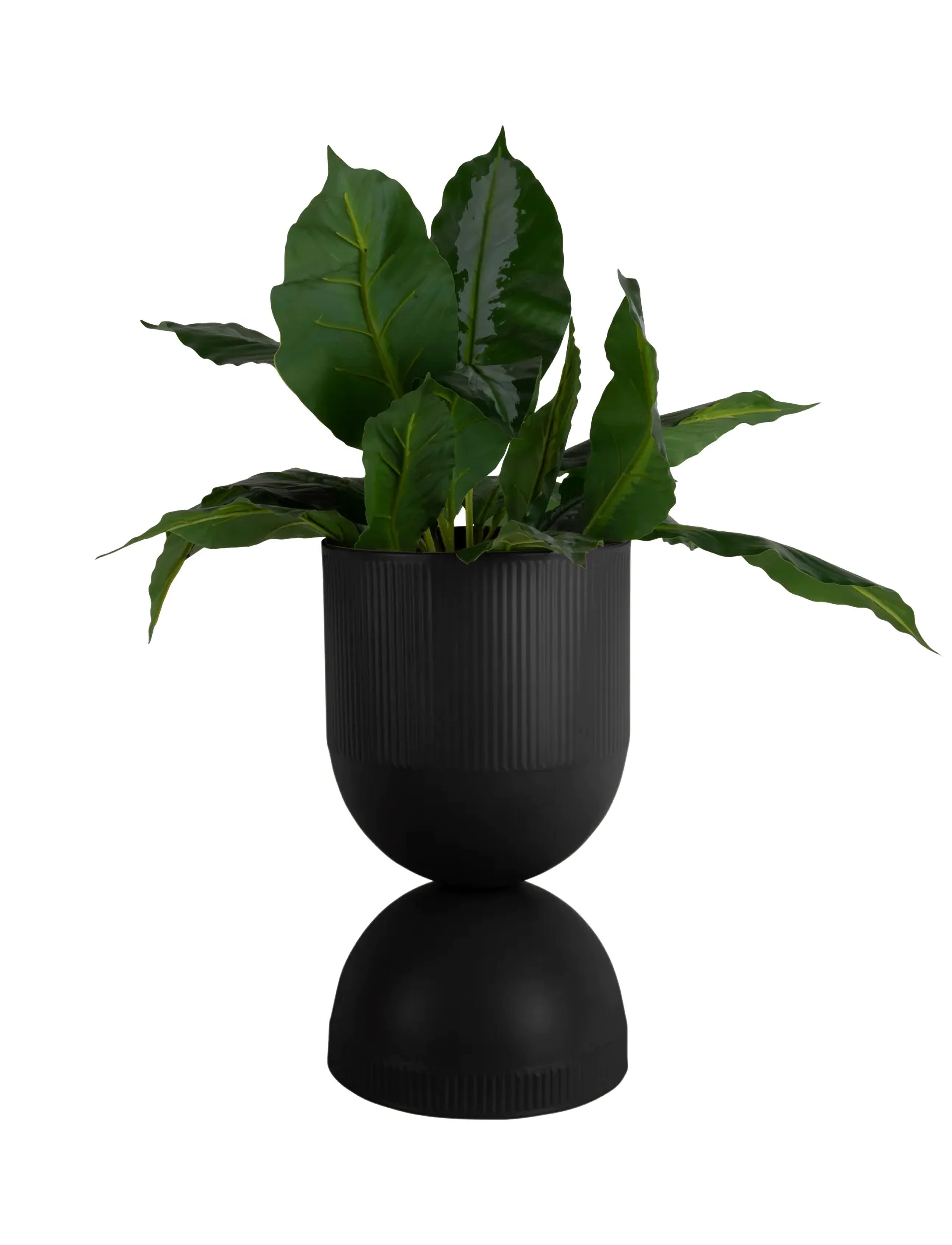 present time Plant Pot Tonar Large, H 45 cm, Black, Dekoration > Blomsterpotter, Unisex