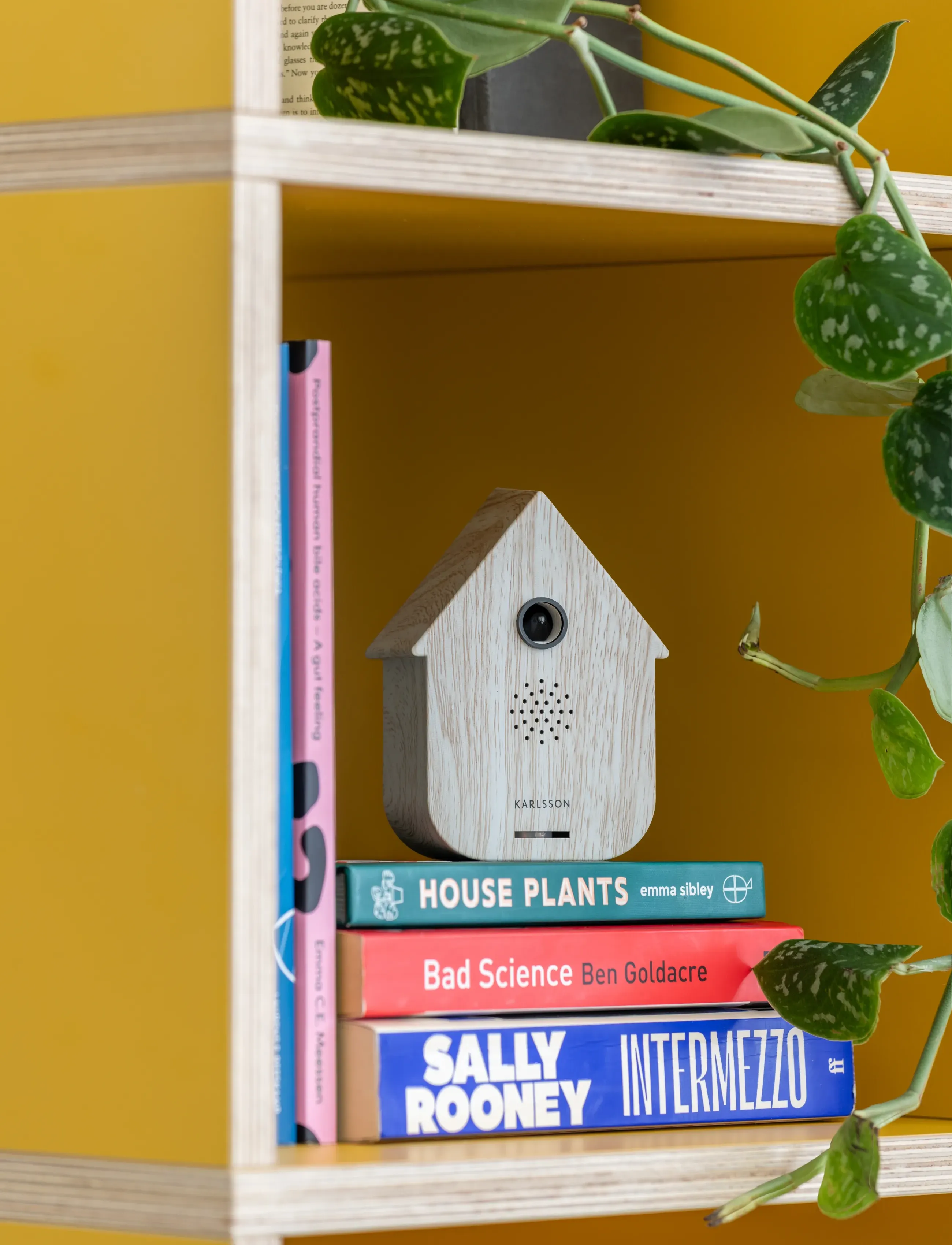 KARLSSON Sound Box Modern Cuckoo White Wash, Ø 12 cm, Watches, Schwarz - Mantel & Table Clocks, Homeware