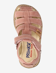 Primigi - PRR 39155 - summer savings - pink - 3