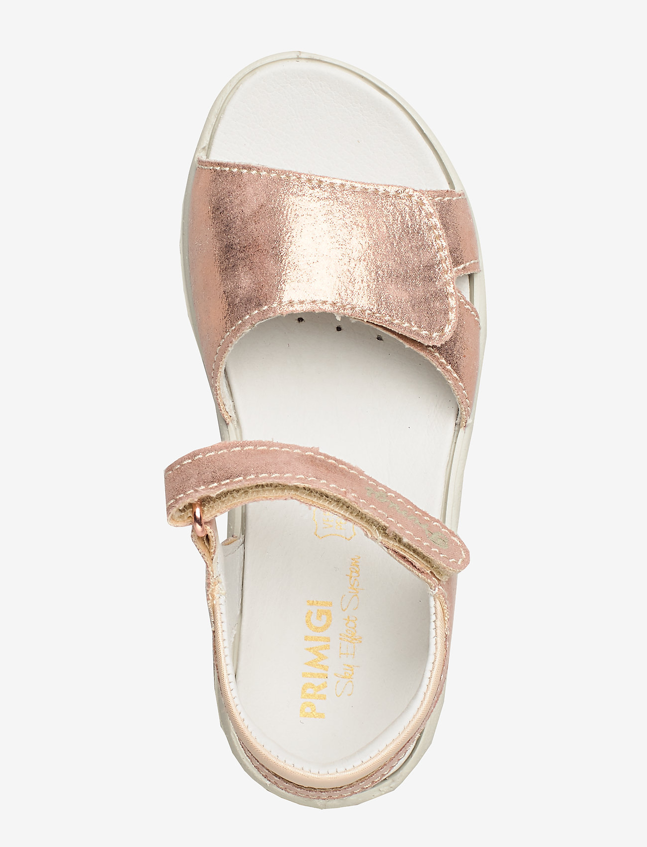 Primigi - PBR 53836 - skin - 3