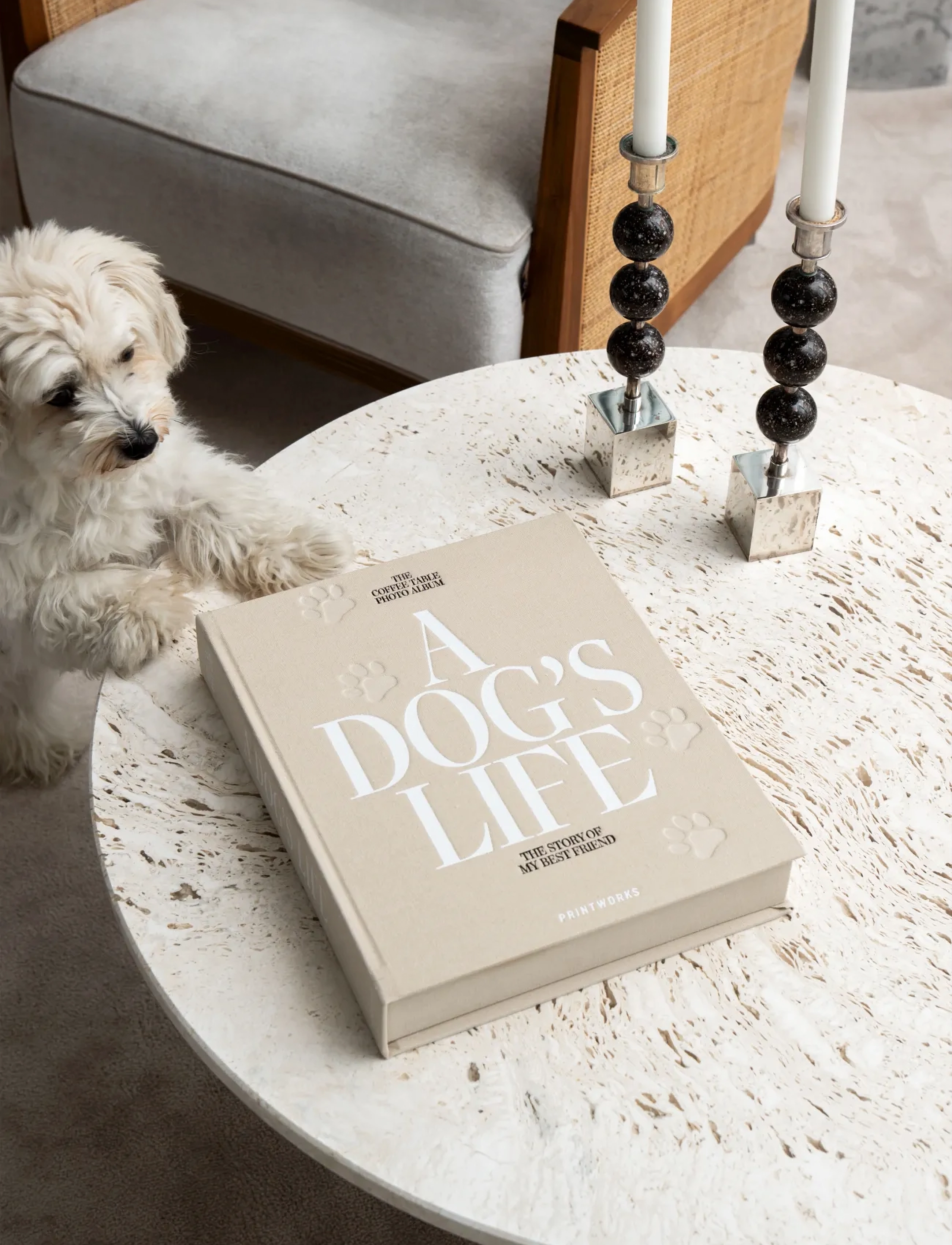 PRINTWORKS Dog Album A Dog's Life, One Size, Decoration, Beige - Books, Homeware