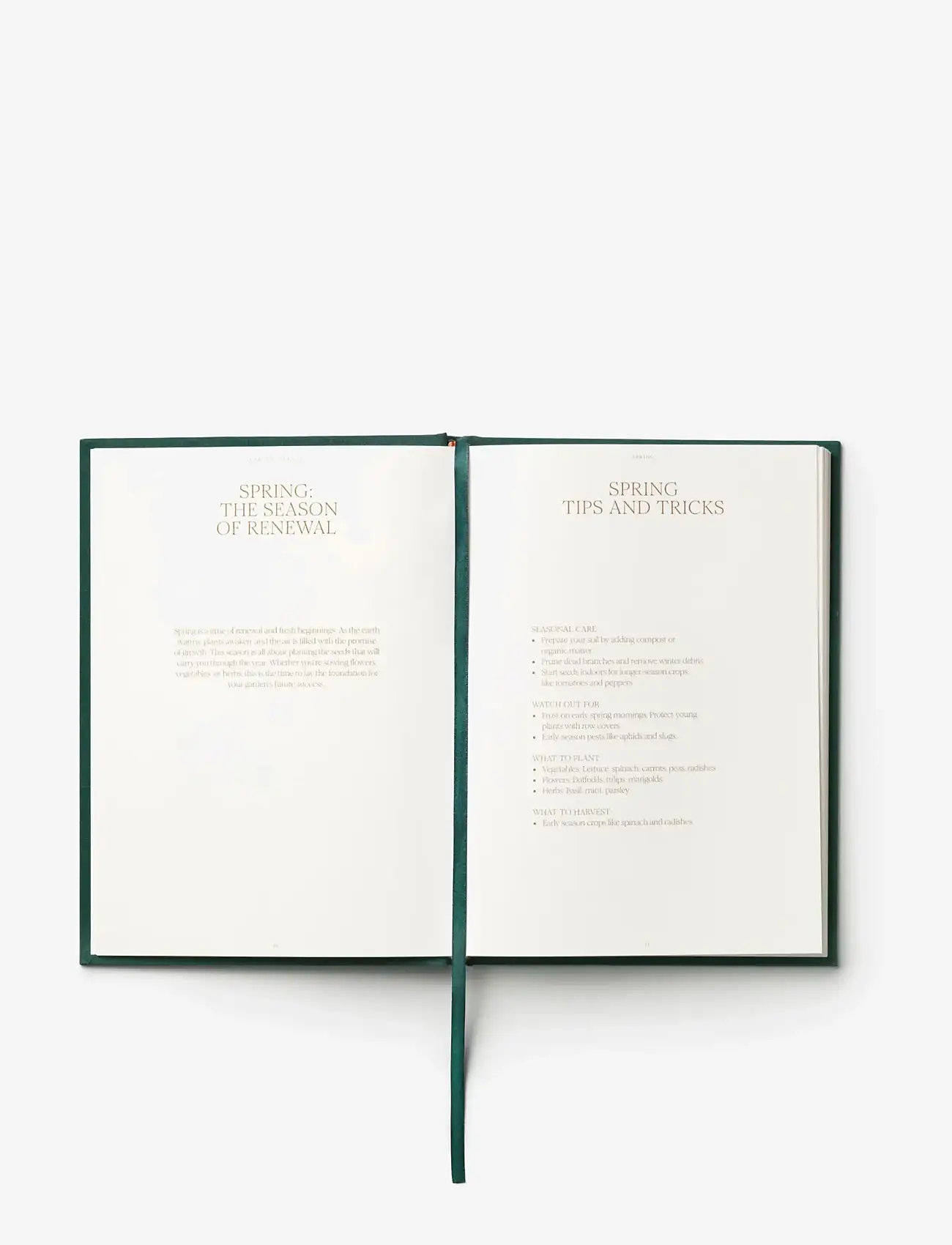 PRINTWORKS - The Secret Garden - Garden Journal - plānotāji un piezīmju bloknoti - beige/green - 3
