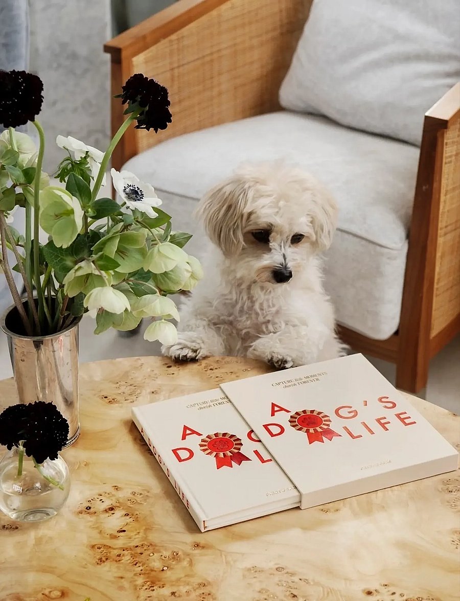 PRINTWORKS - A Dog's Life - Dog Journal - kalender & notizbücher - beige - 0