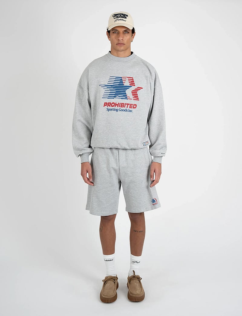 Prohibited - Sporting Goods Crew Neck - urlaubsfavoriten - grey melange - 0