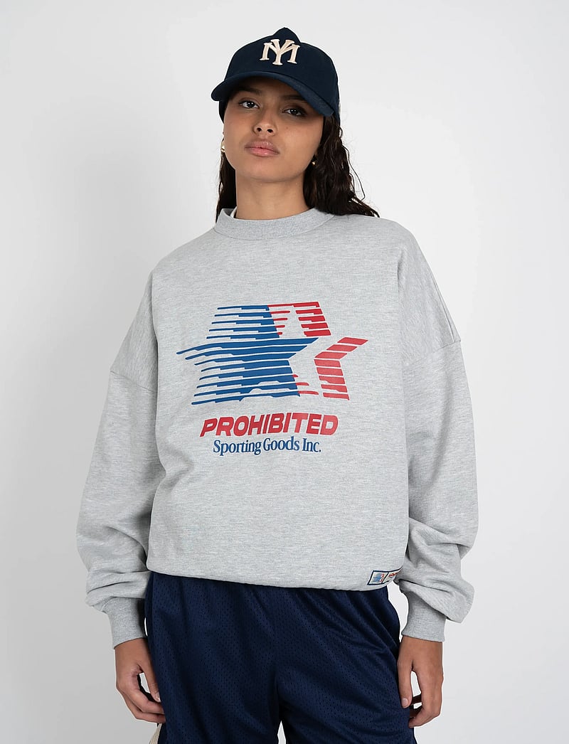 Prohibited - Sporting Goods Crew Neck - urlaubsfavoriten - grey melange - 4