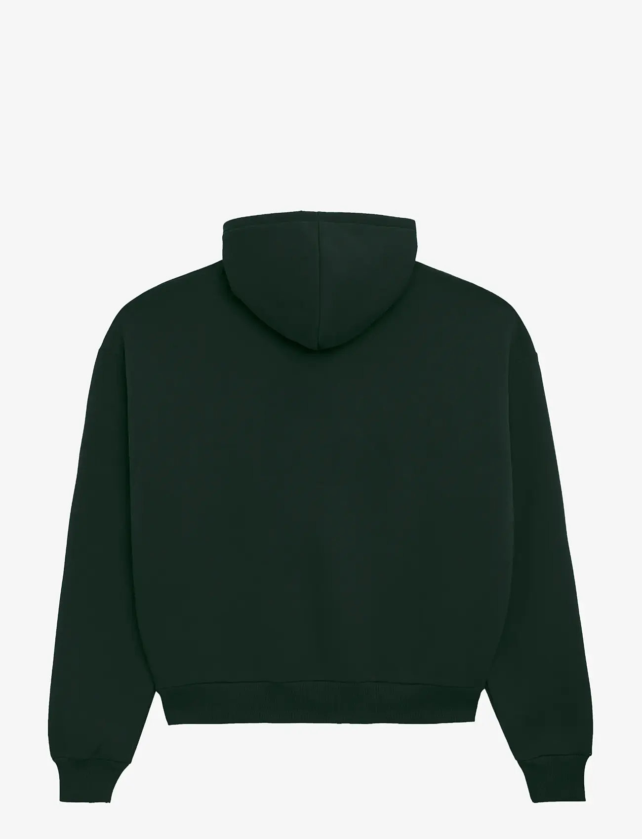 Prohibited - Legacy Hoodie - džemperi ar kapuci - green - 2