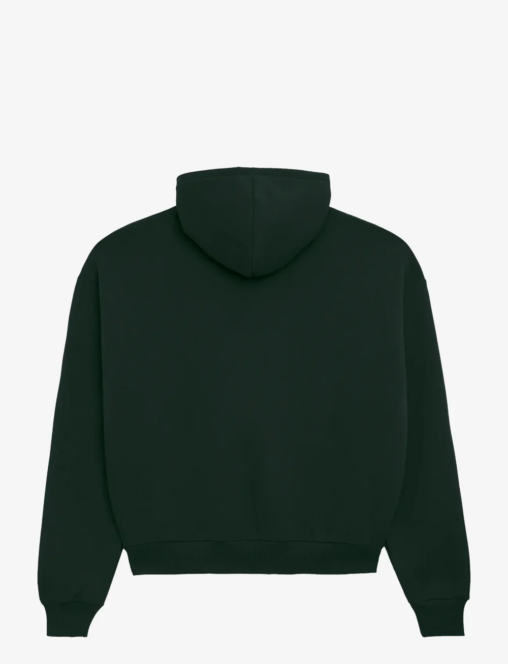 Prohibited - Legacy Hoodie - kapuutsiga dressipluusid - green - 2