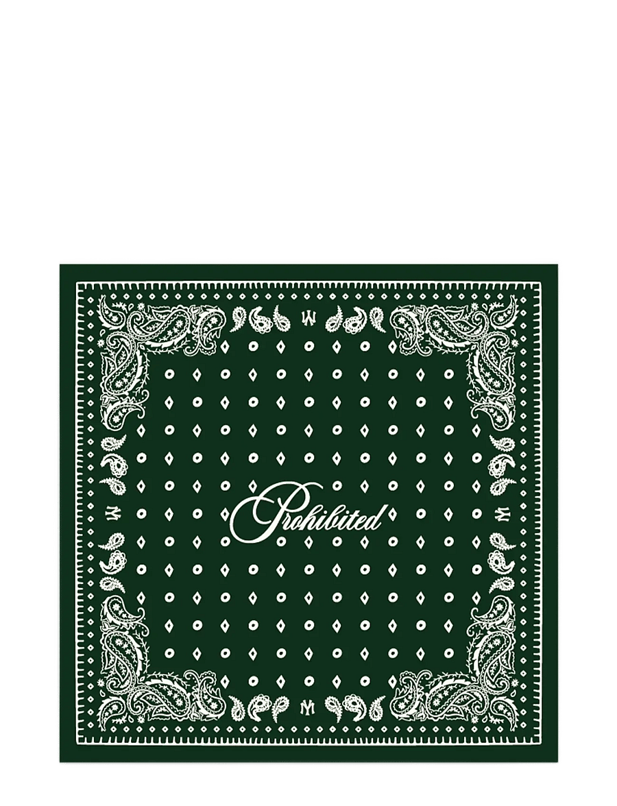 Prohibited - Prohibited Scarf - tynde tørklæder - green - 1