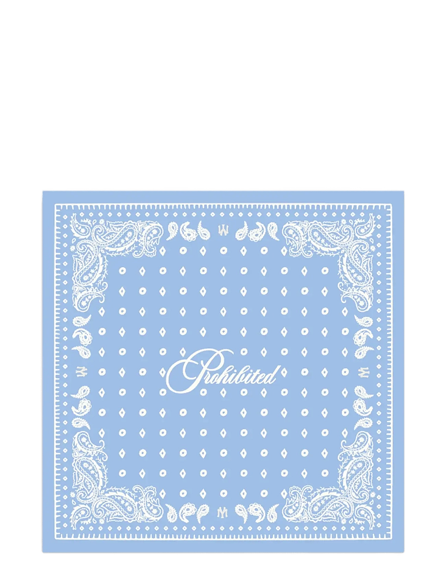 Prohibited - Prohibited Scarf - tynde tørklæder - sky blue - 1