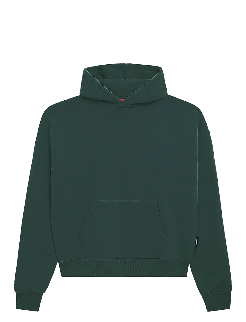 Prohibited - Oversized Hoodie - hættetrøjer - british racing green - 1