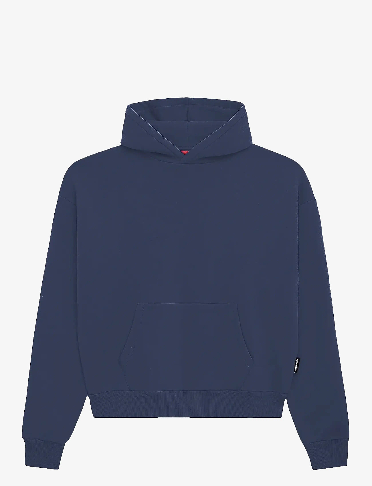 Prohibited - Oversized Hoodie - kapuutsiga dressipluusid - navy - 1