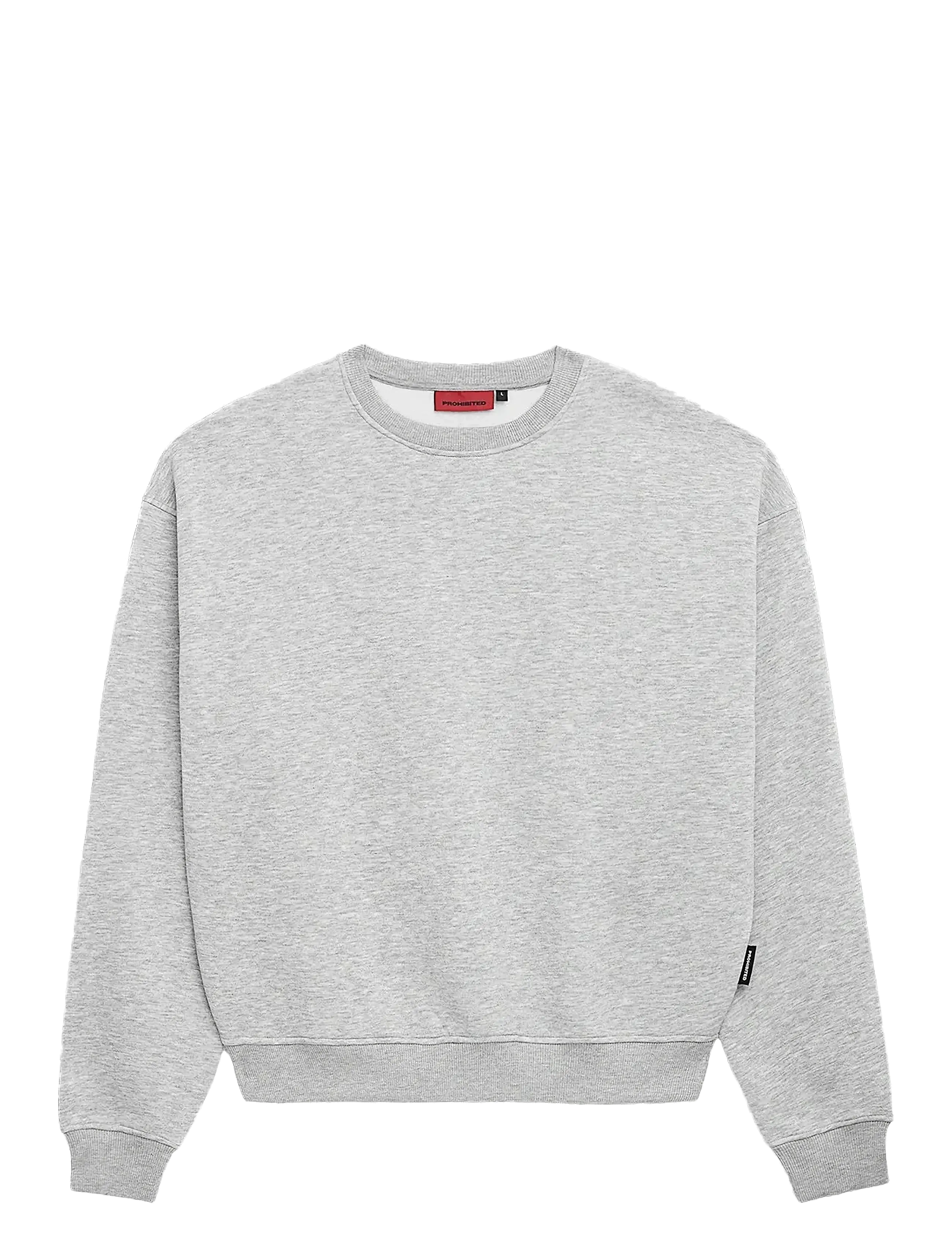 Prohibited Oversized Crew Neck - Dressipluusid ja kapuutsiga dressipluusid - GREY MELANGE / grey