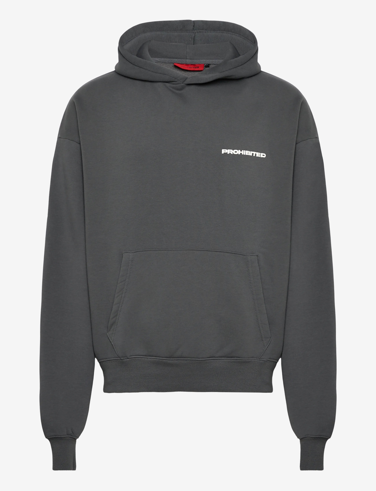 Prohibited - 10119 Hoodie - hættetrøjer - grey (stone washed) - 1