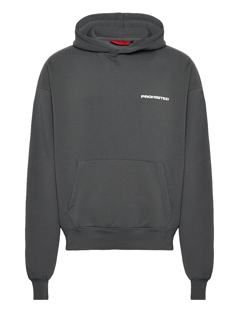 Prohibited - 10119 Hoodie - hættetrøjer - grey (stone washed) - 1
