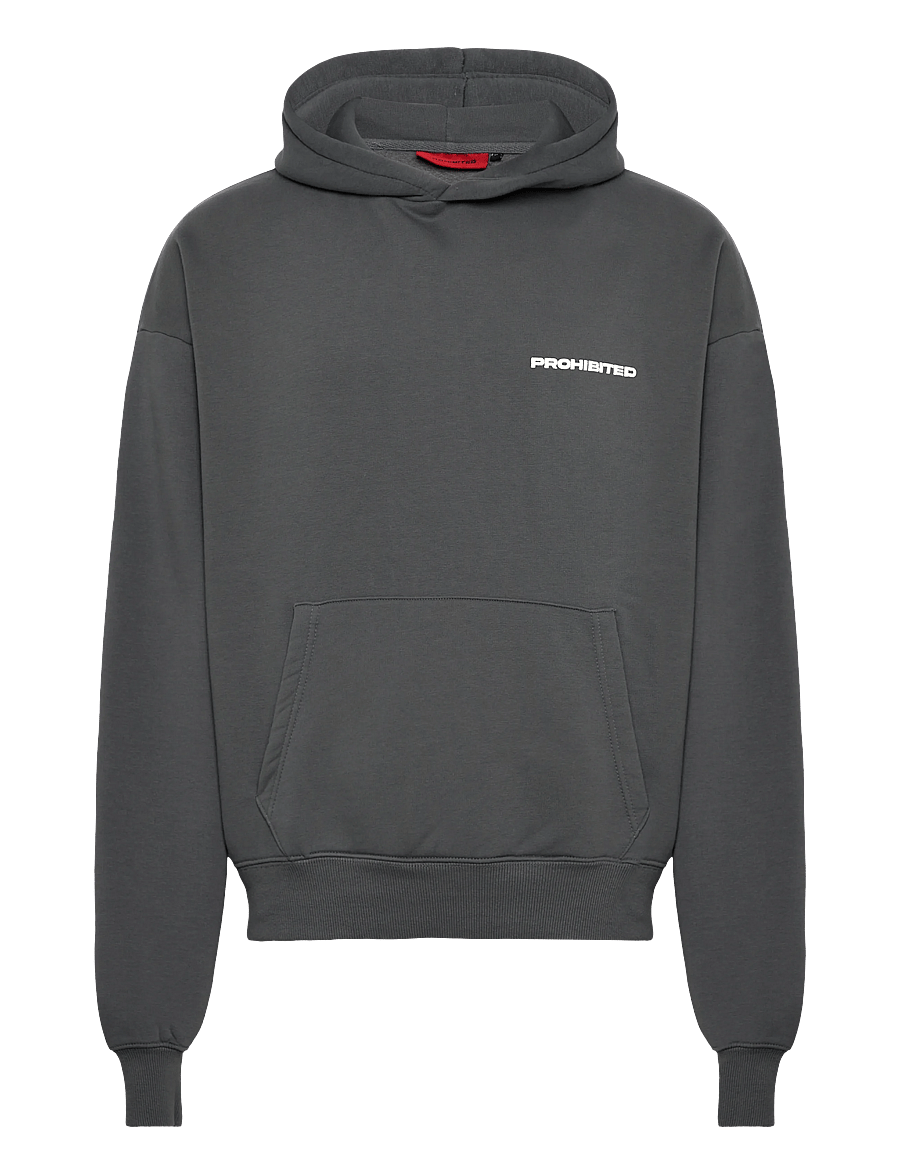 Prohibited - 10119 Hoodie - kapuzenpullover - grey (stone washed) - 1
