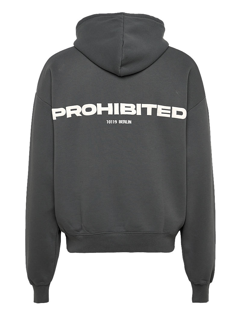 Prohibited - 10119 Hoodie - hættetrøjer - grey (stone washed) - 2