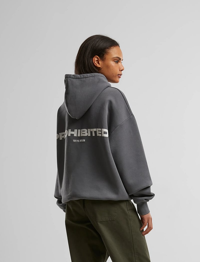 Prohibited - 10119 Hoodie - hættetrøjer - grey (stone washed) - 4