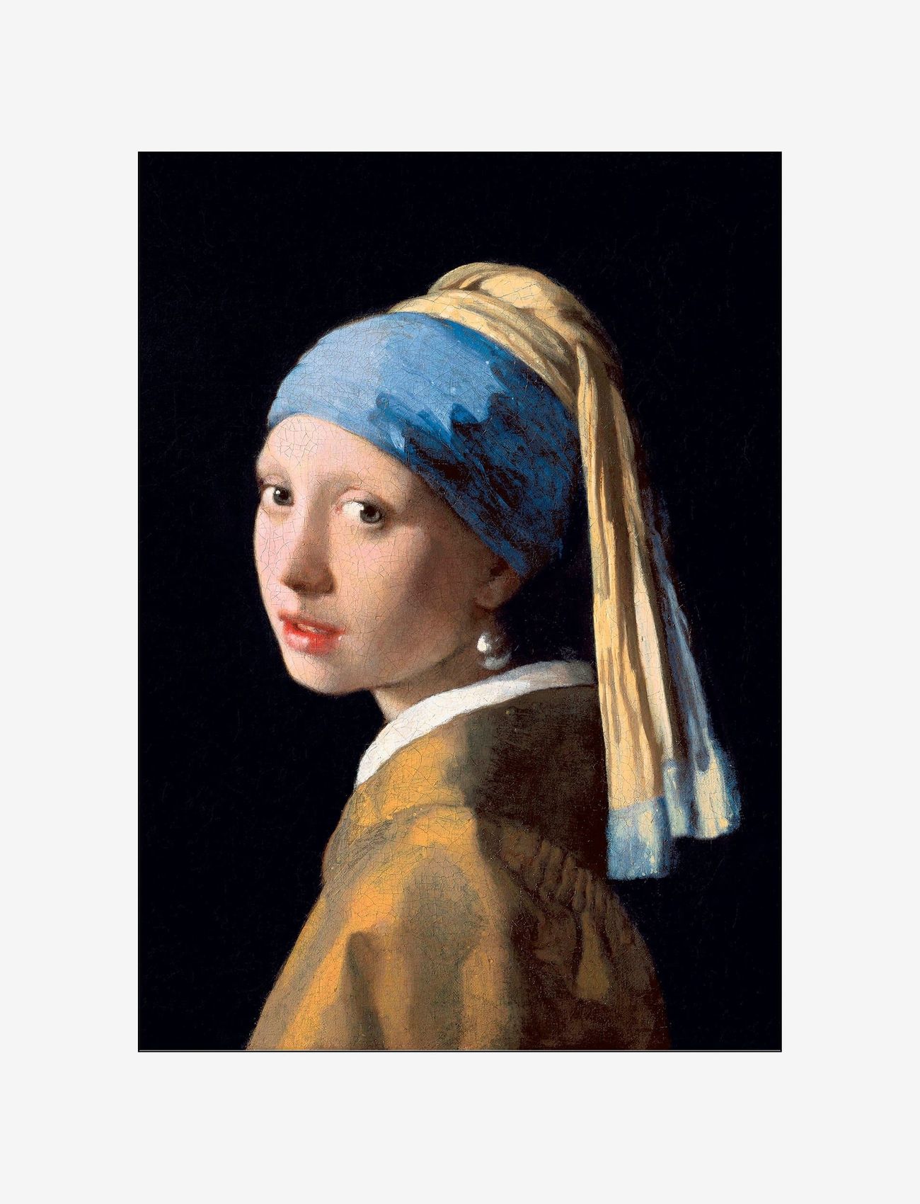 PSTR Studio - johannes-vermeer-girl-with-the-pearl - illustratsioonid - multi-colored - 0