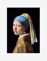 johannes-vermeer-girl-with-the-pearl - MULTI-COLORED