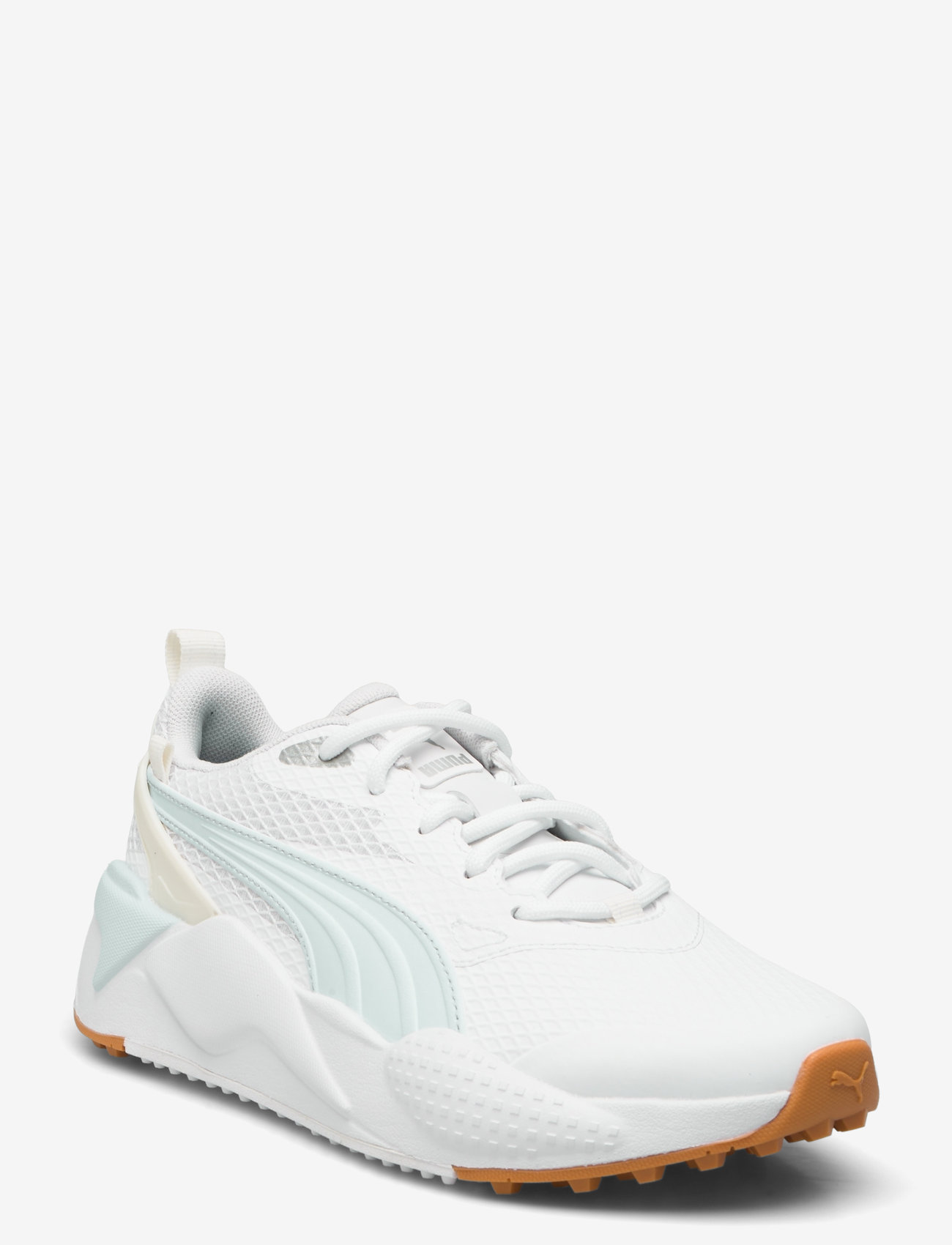 pgf309771_c3714147997_v006.