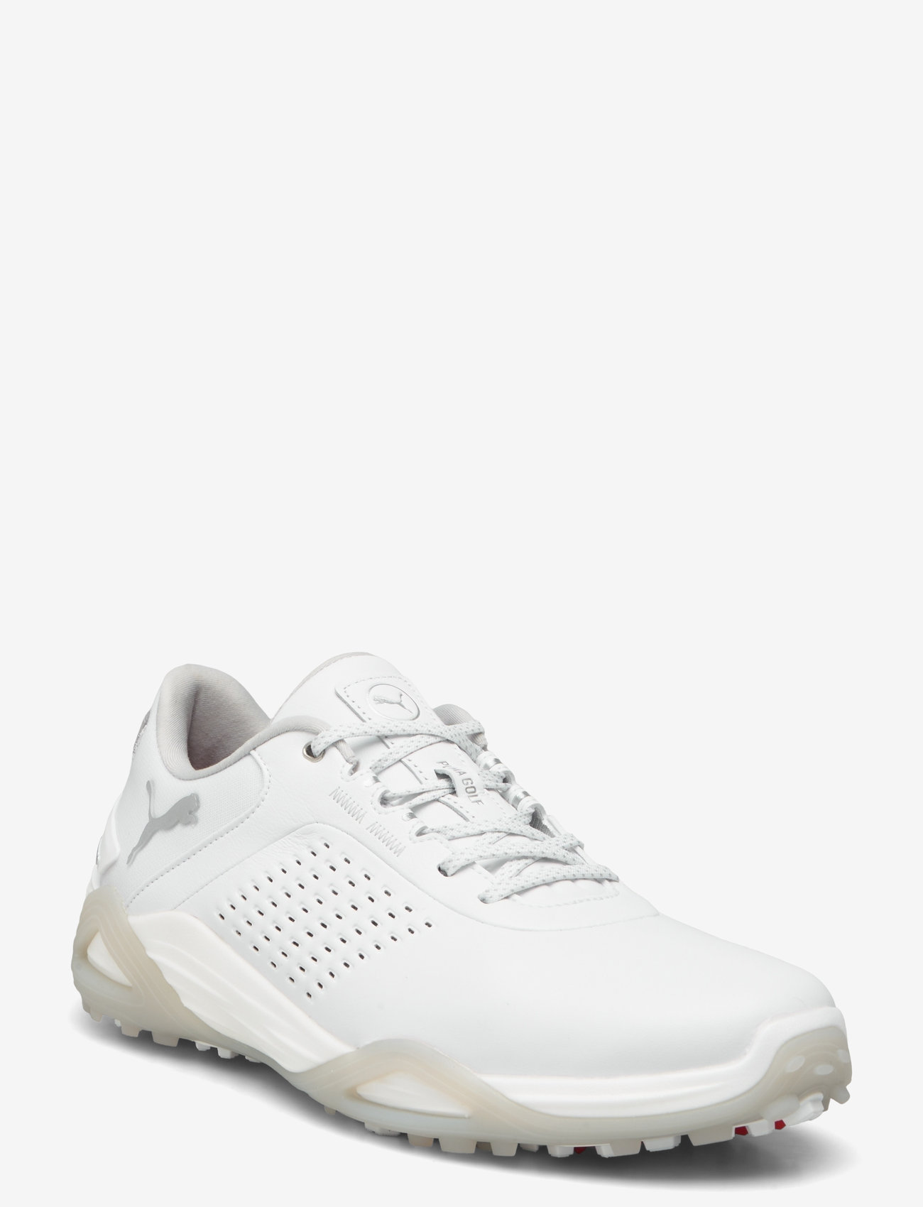 PUMA Golf - Shadowcat NITRO Leather - golfsko - puma white-ash gray - 0