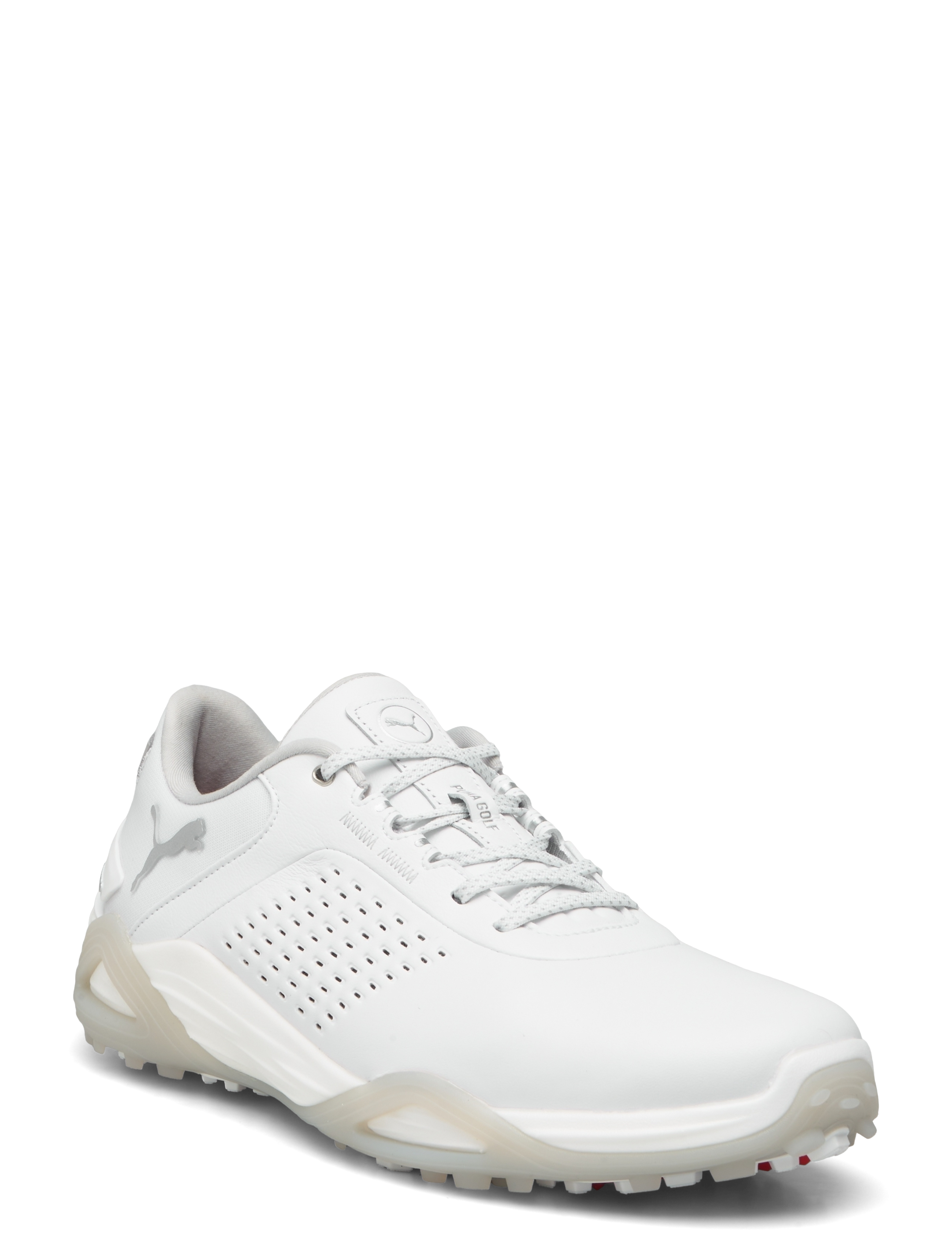 PUMA Golf Shadowcat NITRO Leather - Kingad - PUMA WHITE-ASH GRAY / white