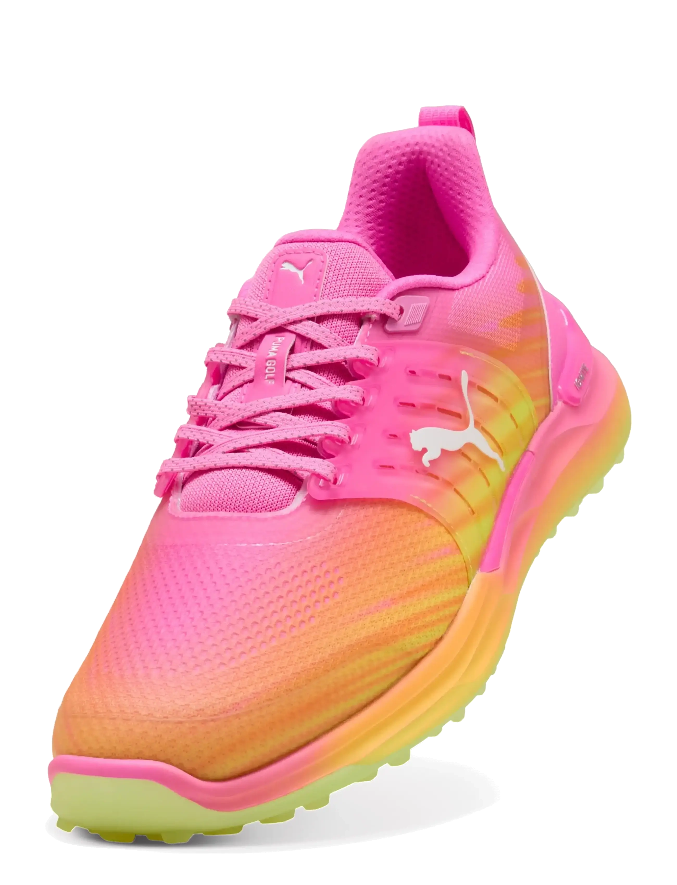 PUMA Golf Ignite Elevate 2 Showtime - Nouveautes - POISON PINK-BRIGHT AQUA-SUN STREAM / pink/rose
