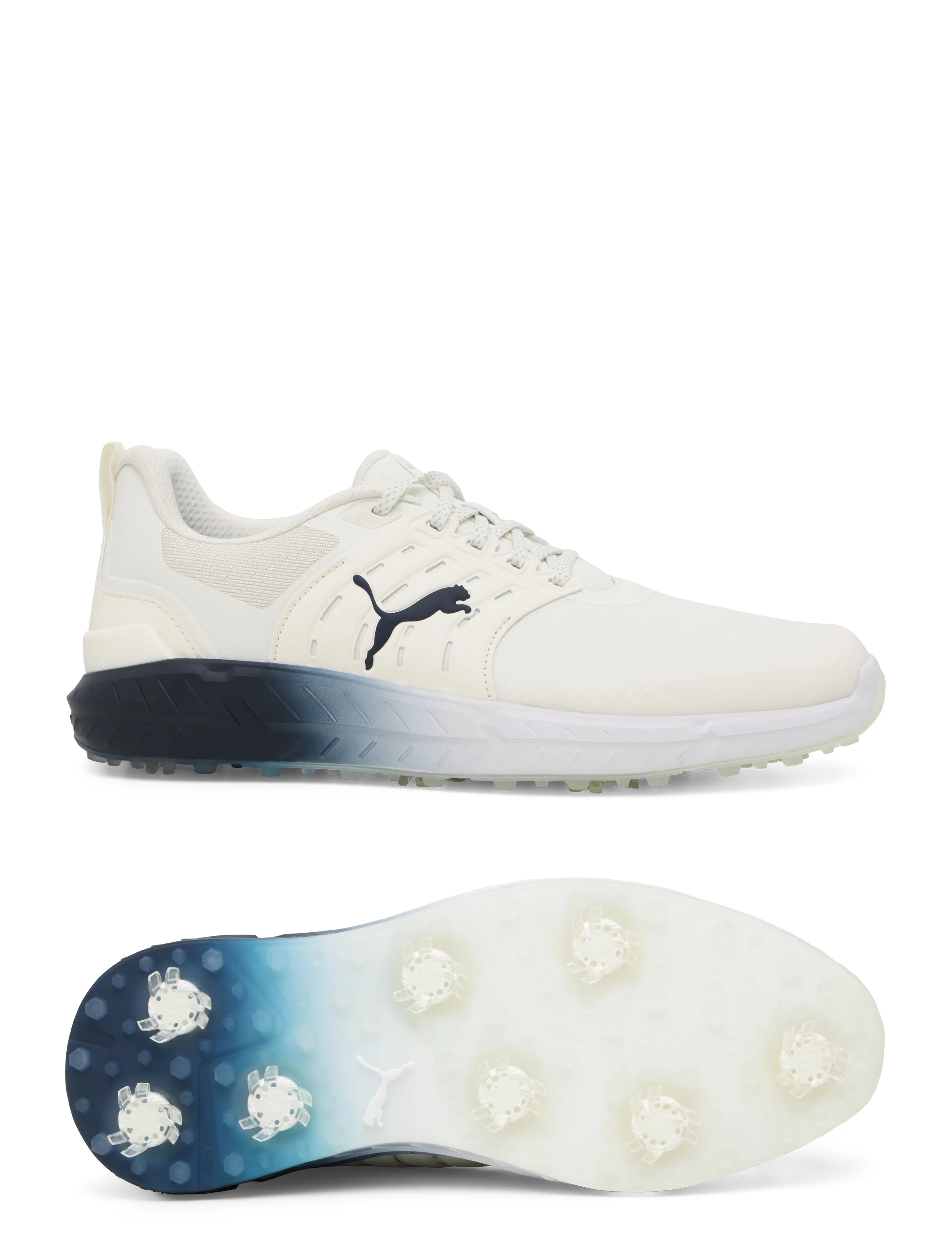 PUMA Golf Ignite Elevate 2 Tour Coastal Claret - Sko - WARM WHITE-ALPINE SNOW-MIDNIGHT PETROL / cream