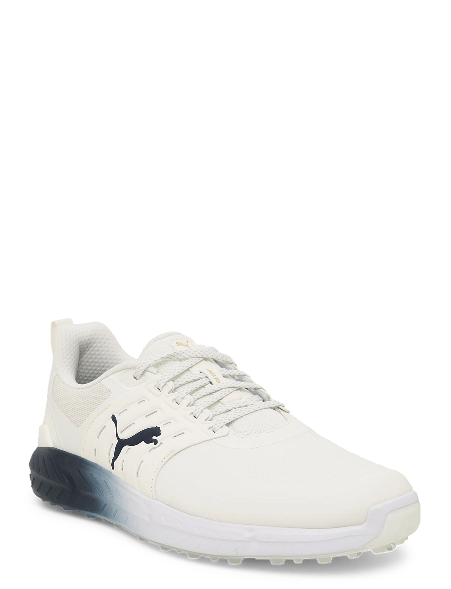 PUMA Golf - Ignite Elevate 2 Tour Coastal Claret - golfskor - warm white-alpine snow-midnight petrol - 1