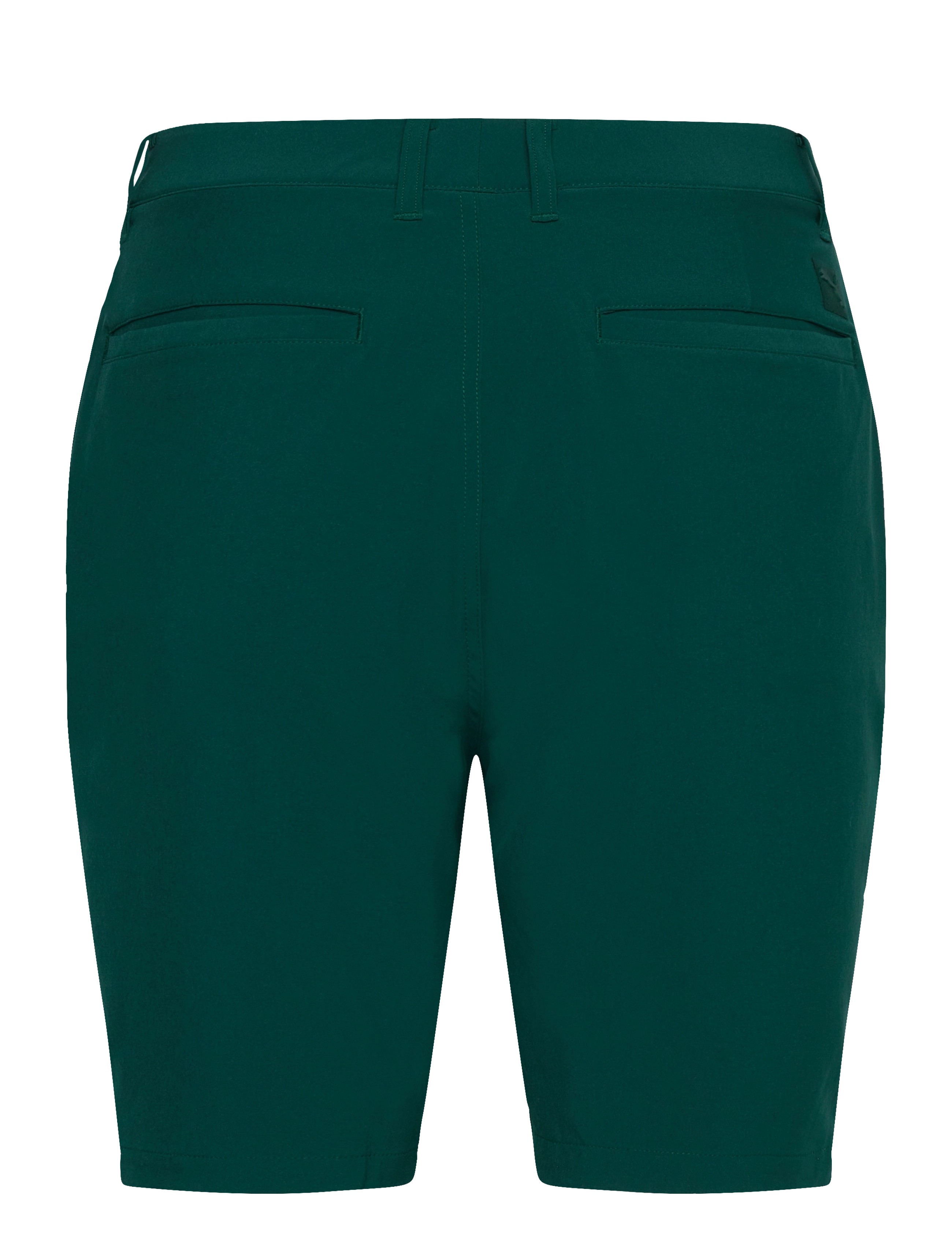 PUMA Golf - 101 Solid Short 9" - lühikesed golfiipüksid - dark myrtle - 1