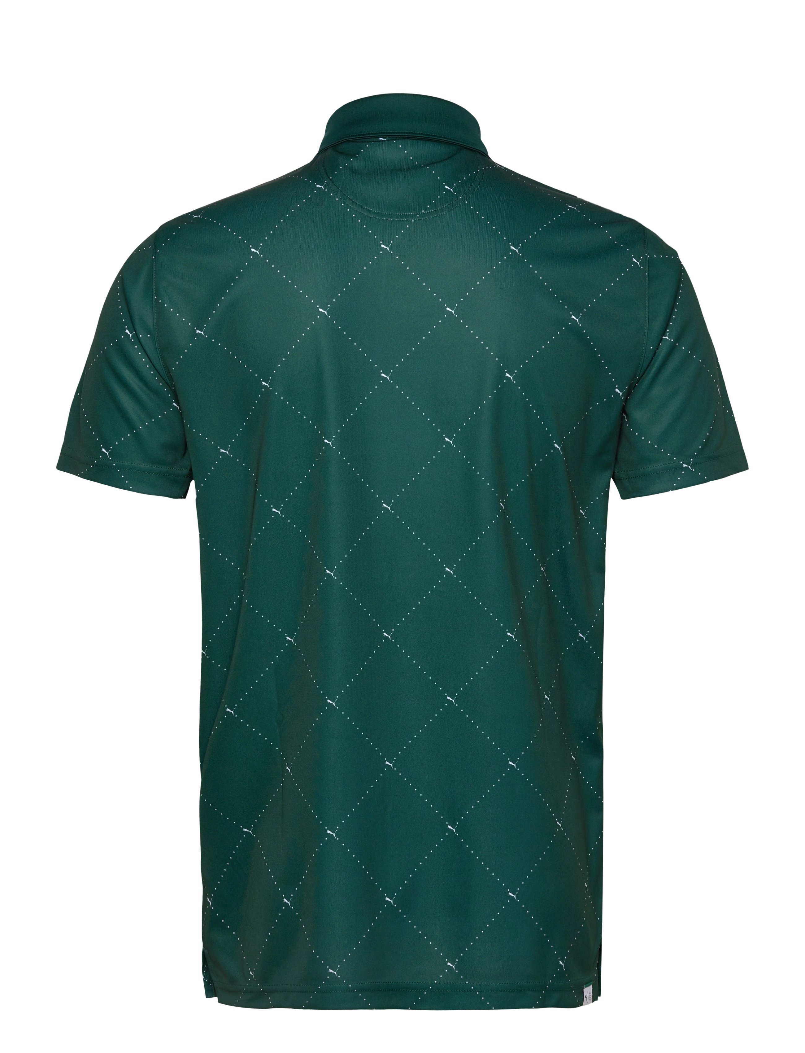 PUMA Golf - Pure 2.0 Argyle Polo - dark myrtle-white glow - 1