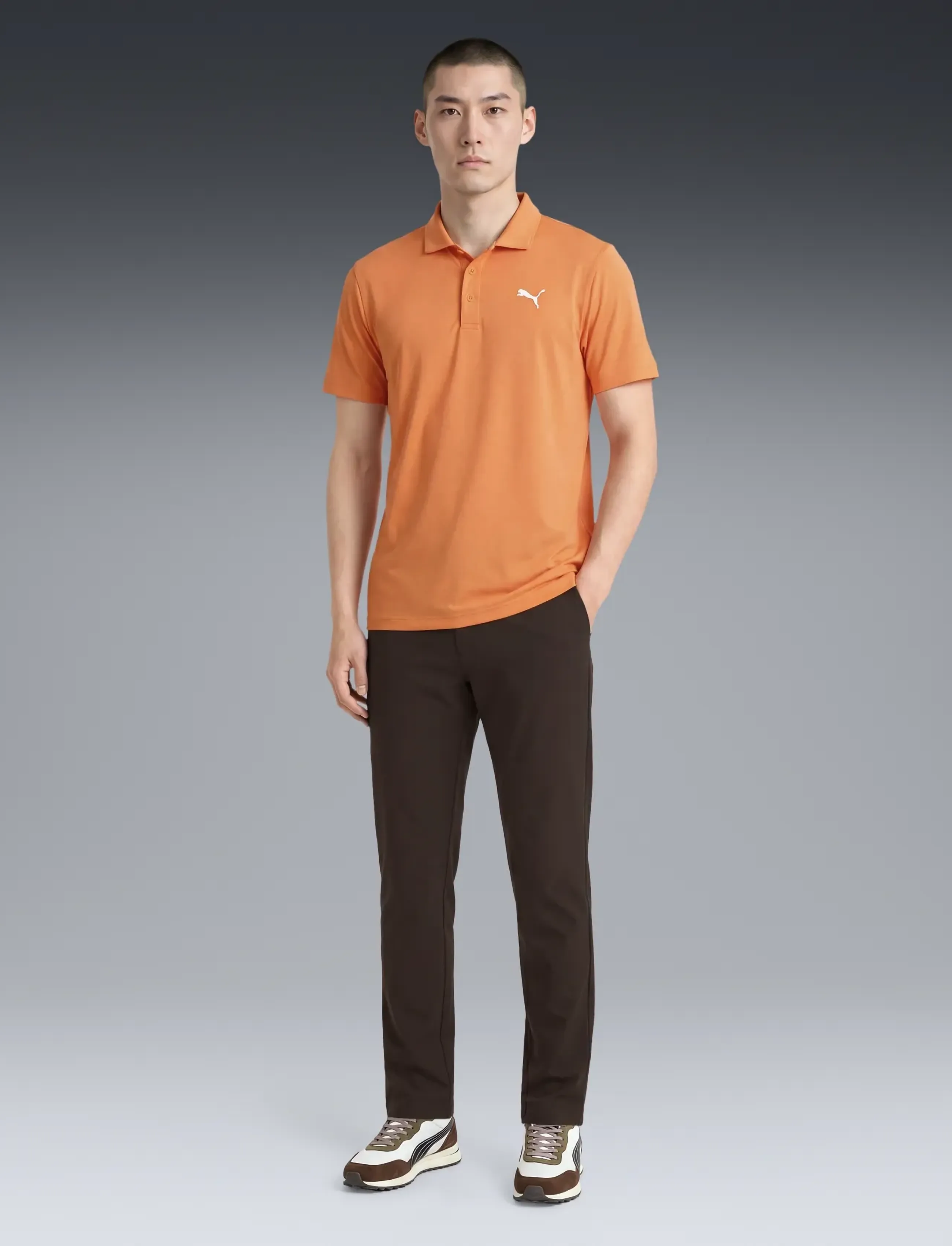 PUMA Golf 101 Pure Tailored Pant, 32 x 32, Brown, Sport Pants > Sport Golf Pants, Herre
