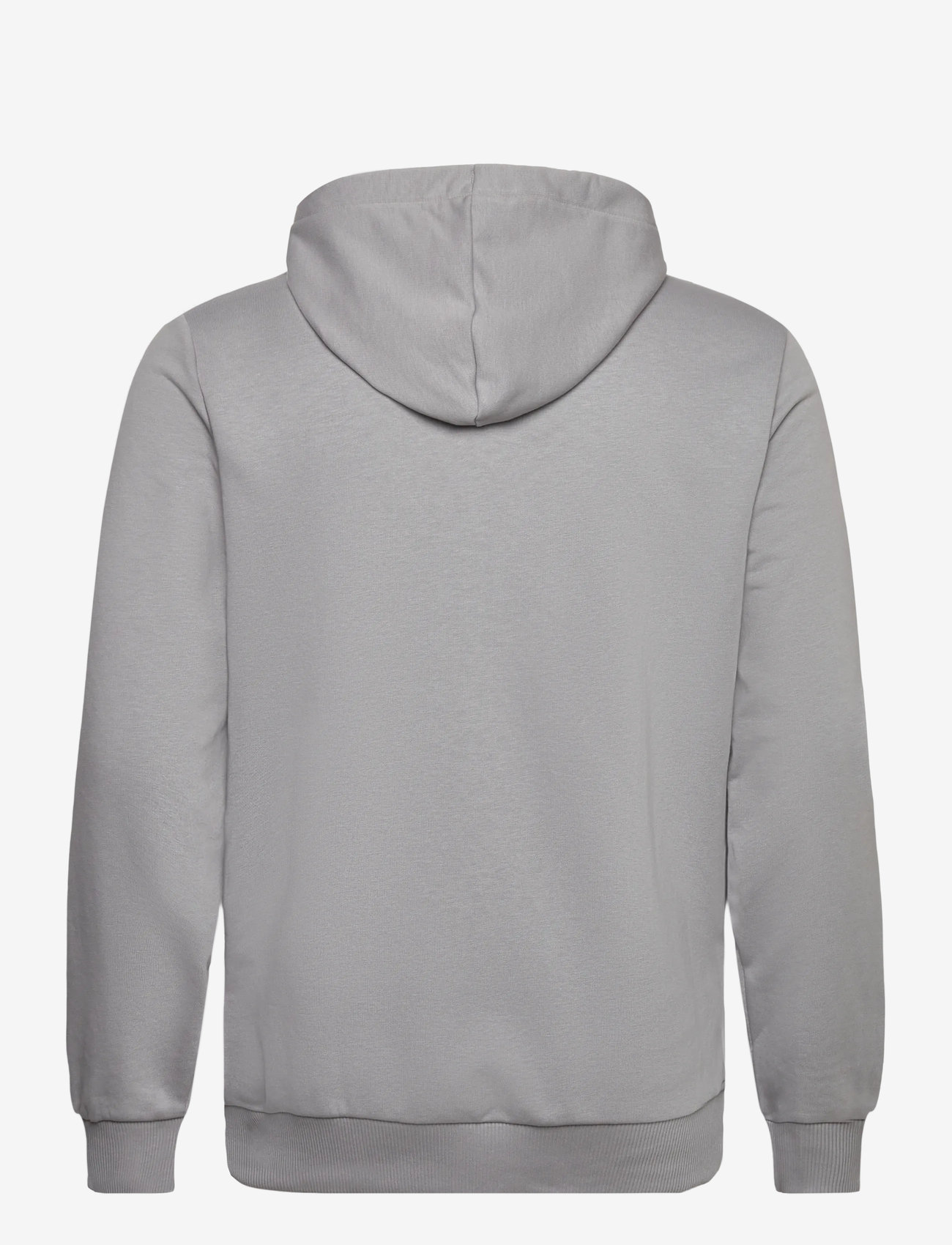 PUMA Motorsport - F1 ESS Logo Hoodie - gray echo - 1