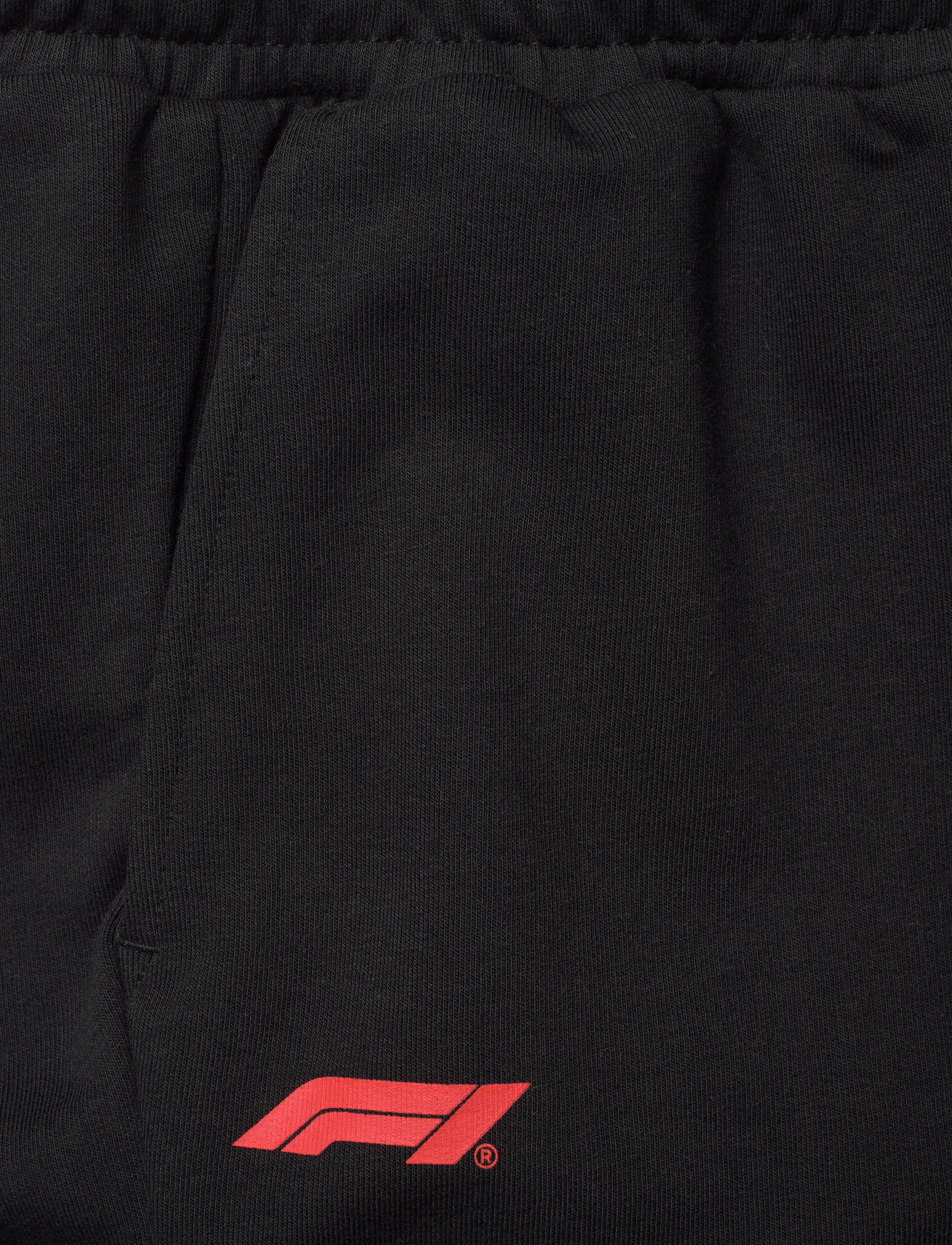 PUMA Motorsport - F1 ESS Sweat Shorts - puma black - 2
