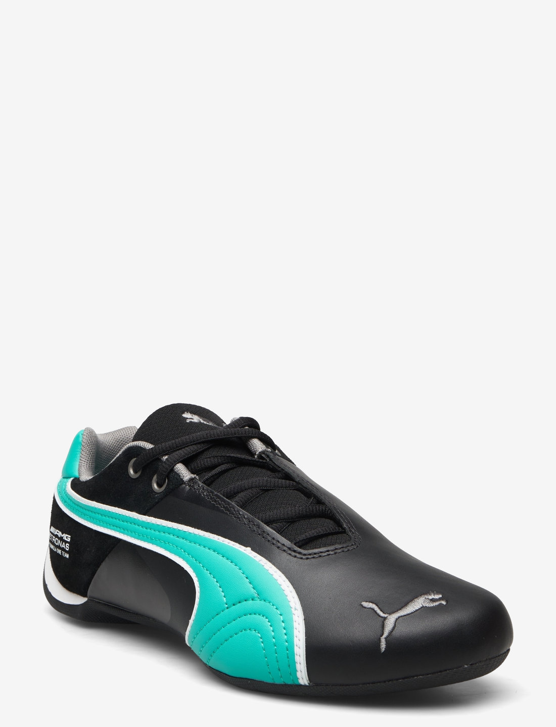 Future 2025 cat puma