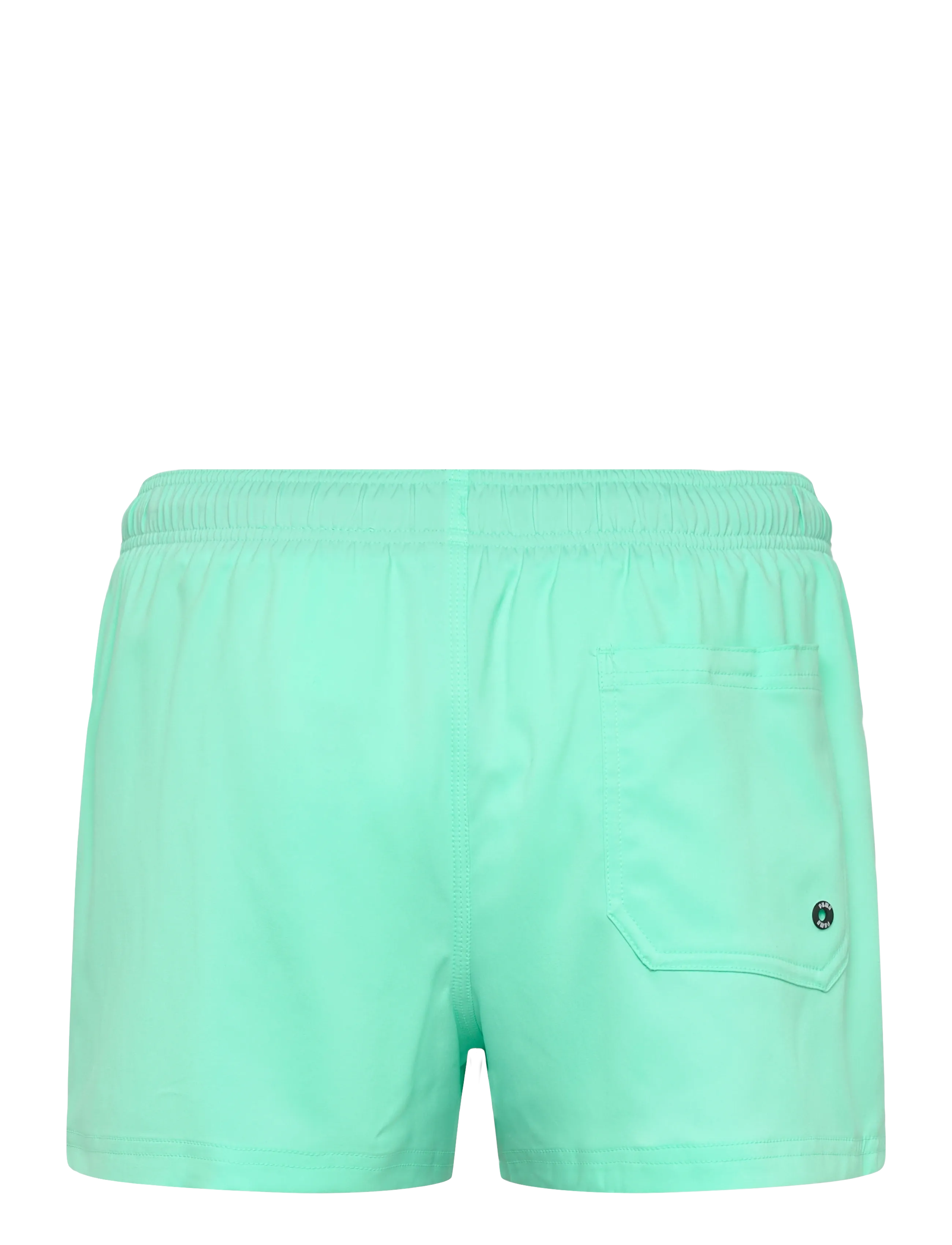 Puma Swim - PUMA SWIM MEN SHORT SHORTS 1P - sundskýlur - mint jelly - 1